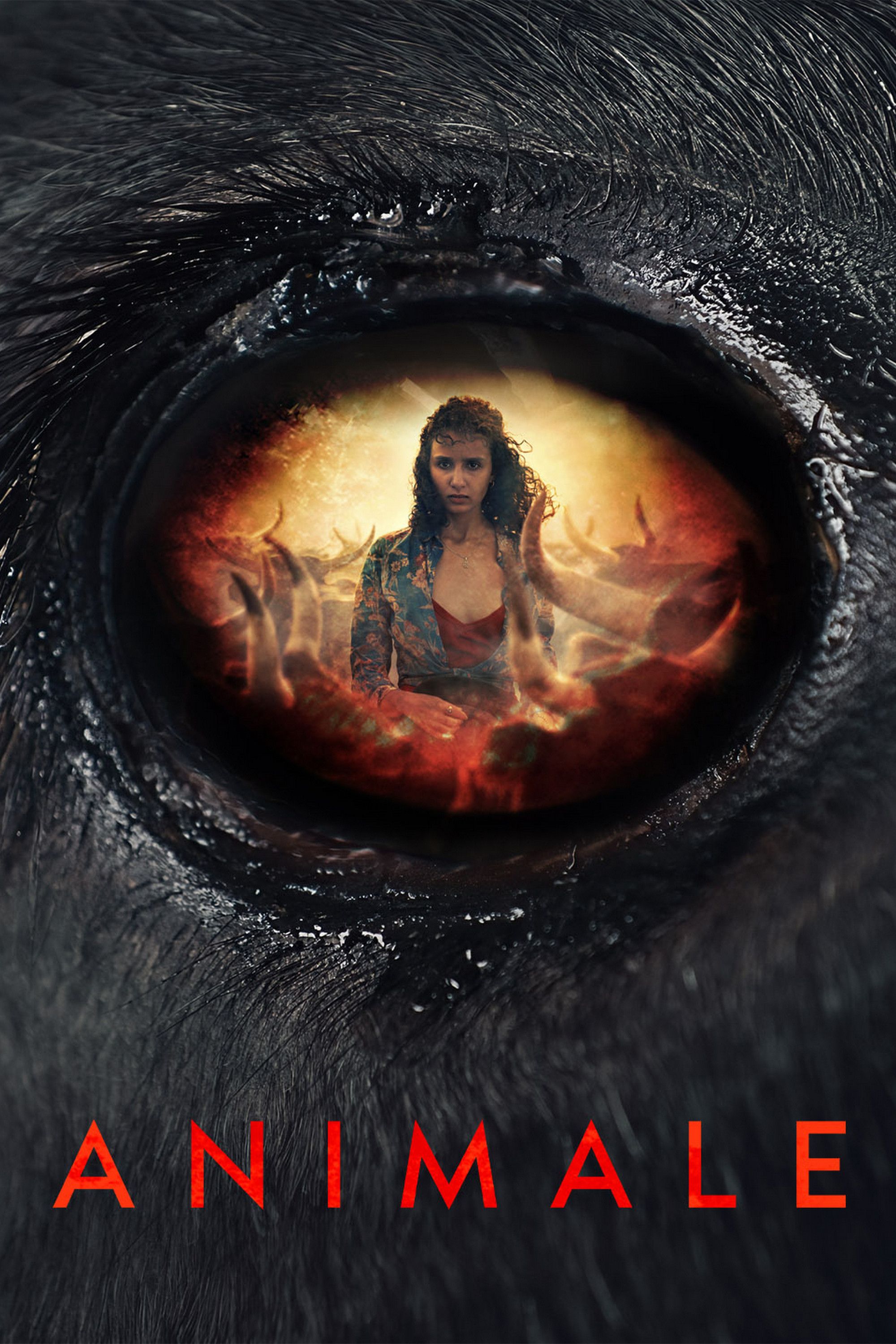 Poster of the movie Animale