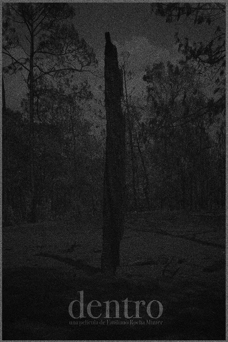 Poster of the movie Inside