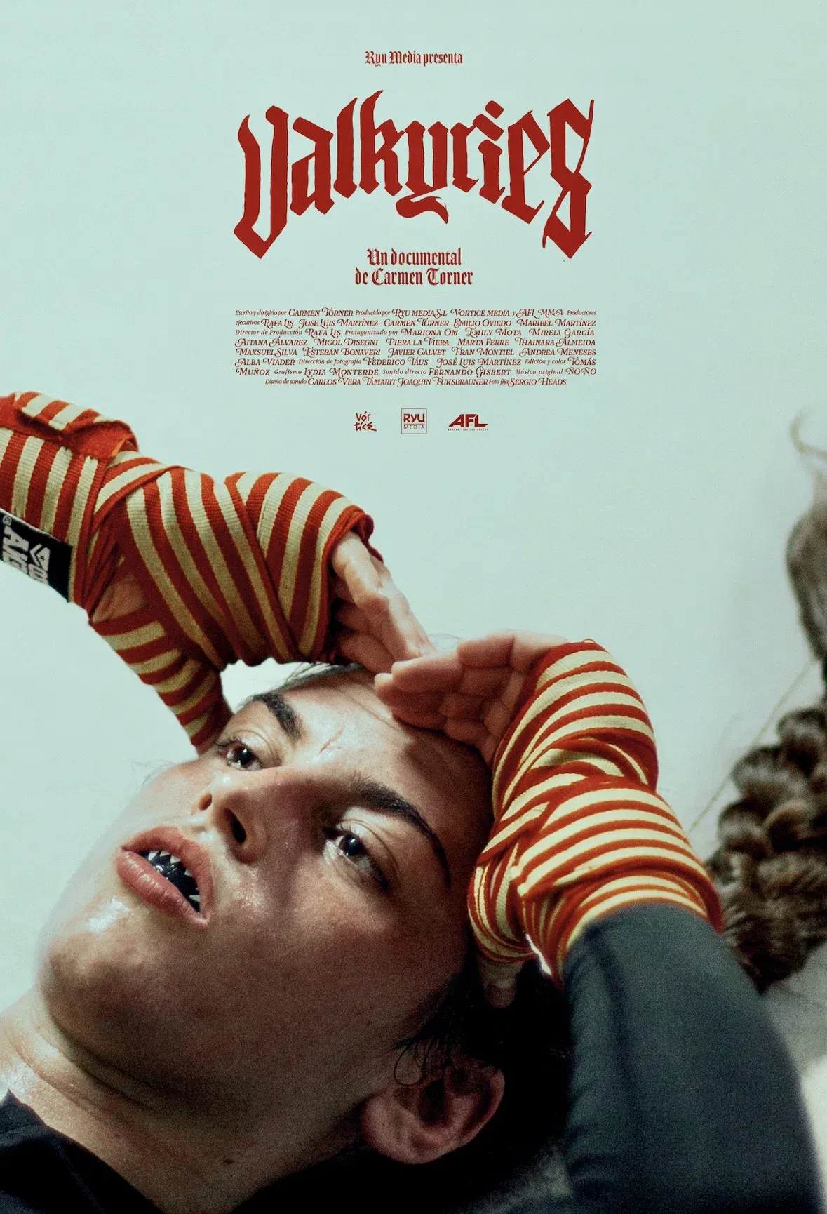 Poster for VALKYRIES