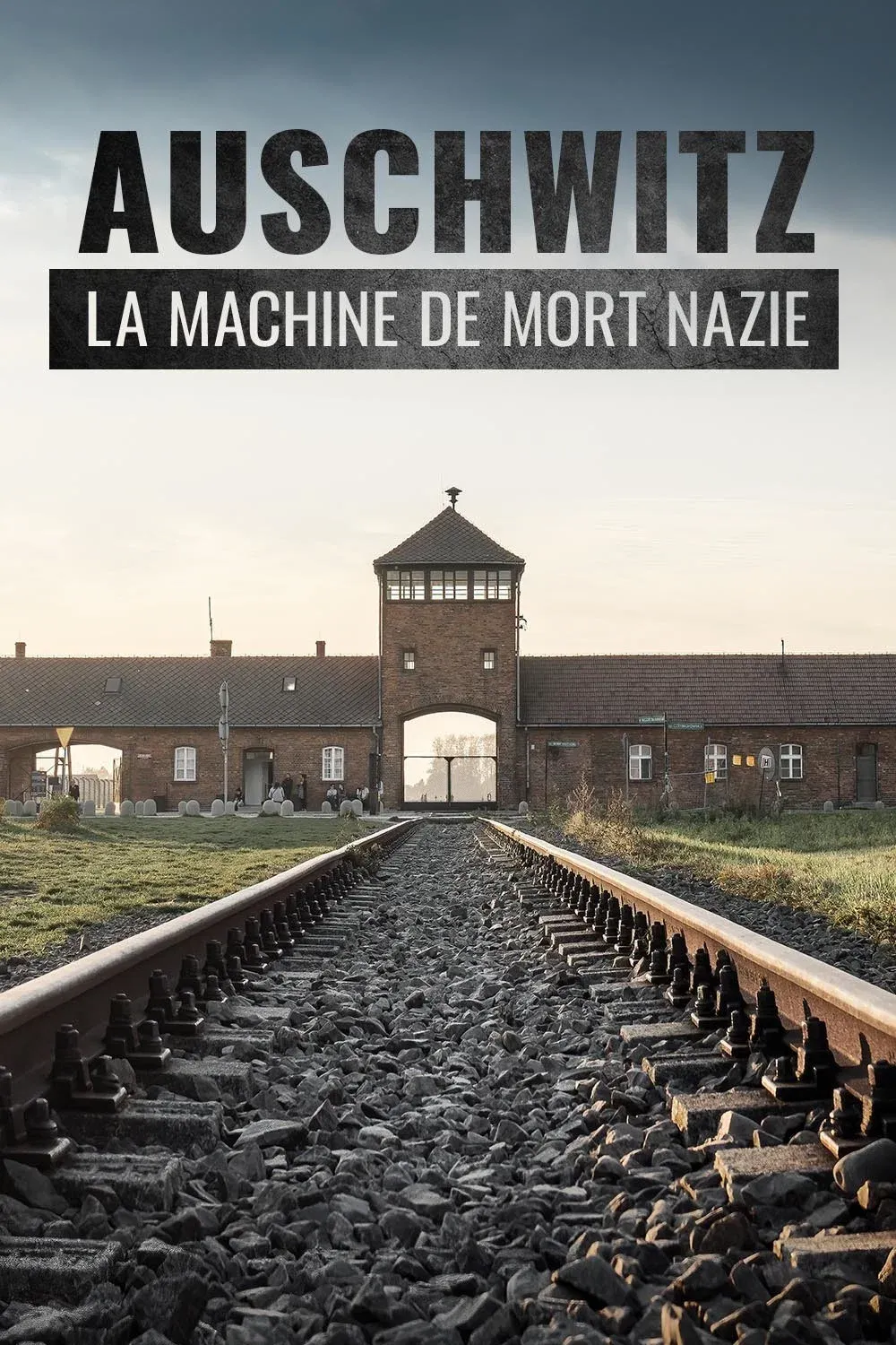 Poster for Auschwitz, la machine de mort nazie