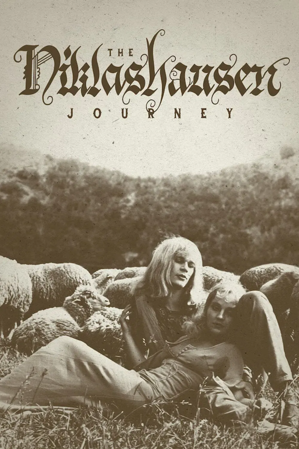 Poster of the movie The Niklashausen Journey