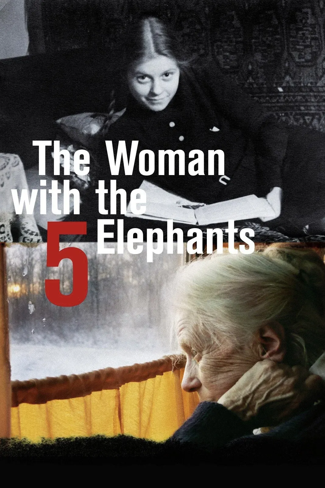 Poster of the movie The Woman with the 5 Elephants