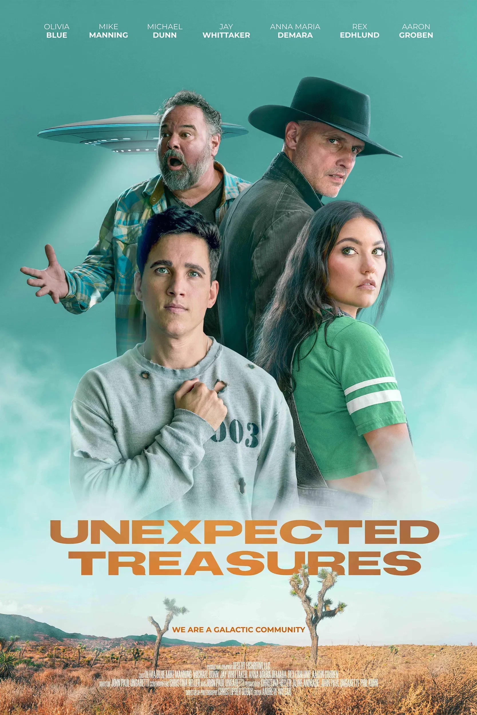 Poster for Unexpected Treasures