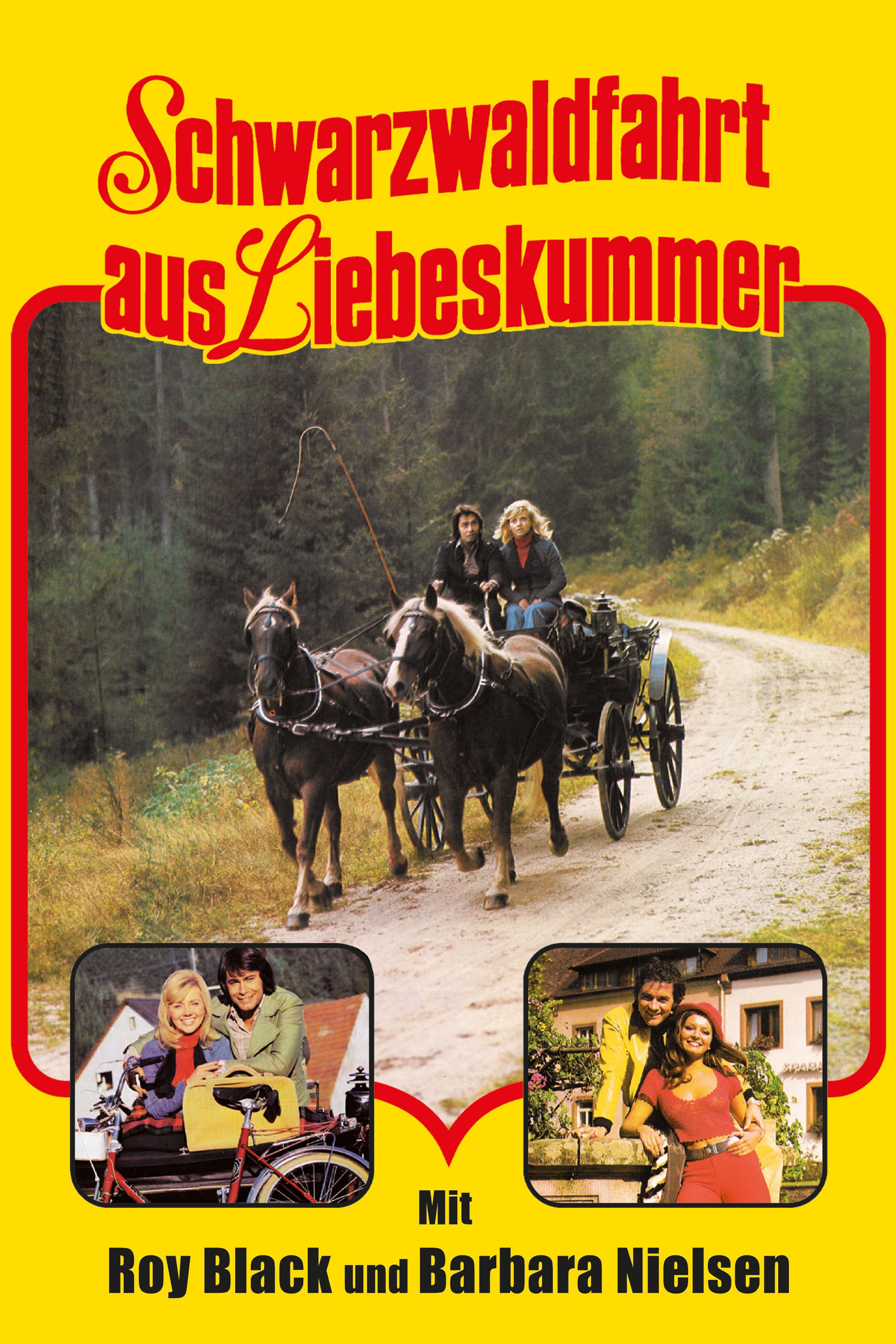 Poster of the movie Schwarzwaldfahrt aus Liebeskummer