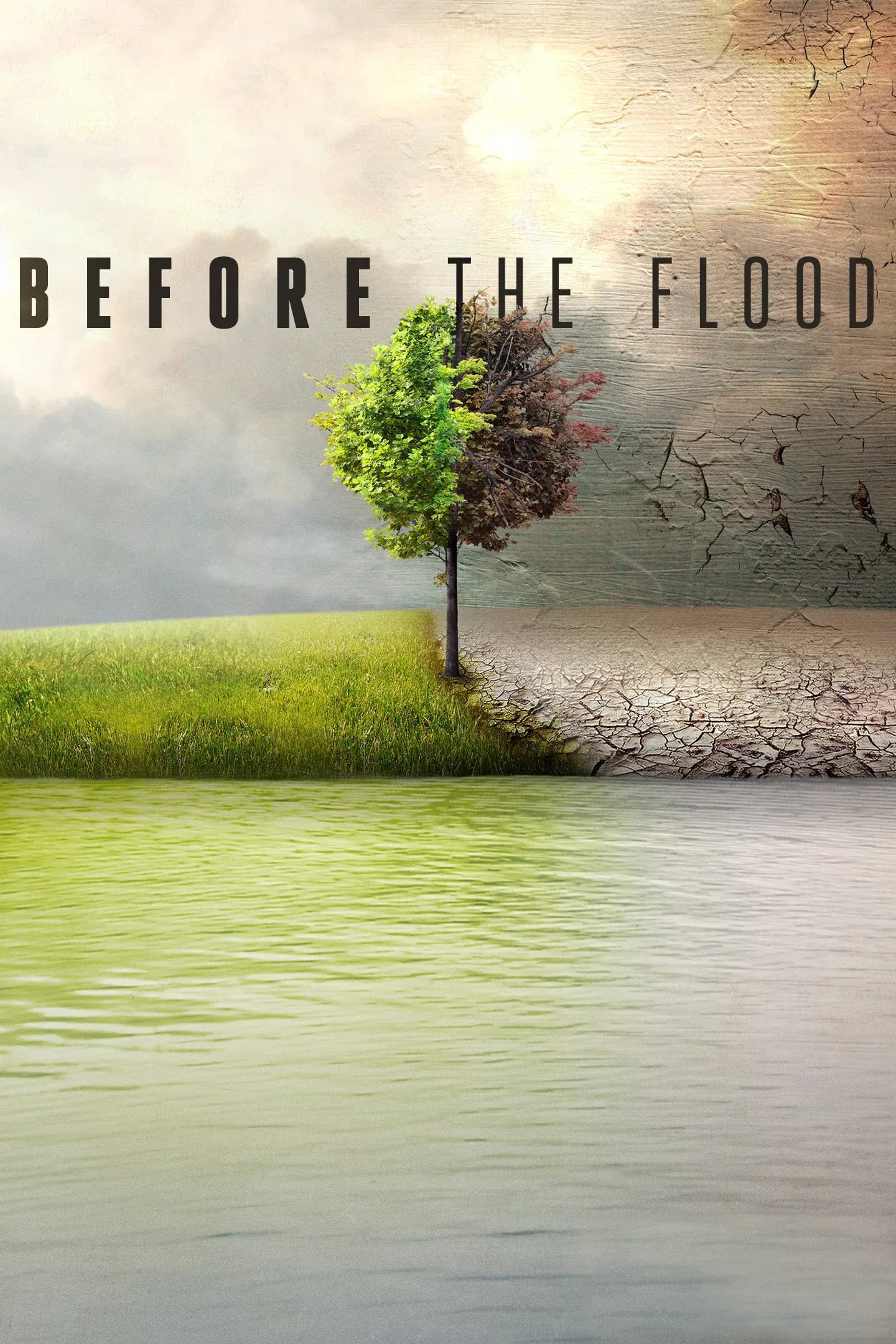 Poster of the movie Before the Flood