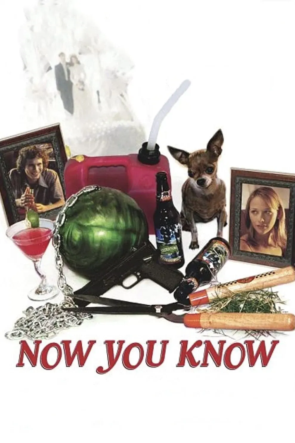 Poster of the movie Now You Know