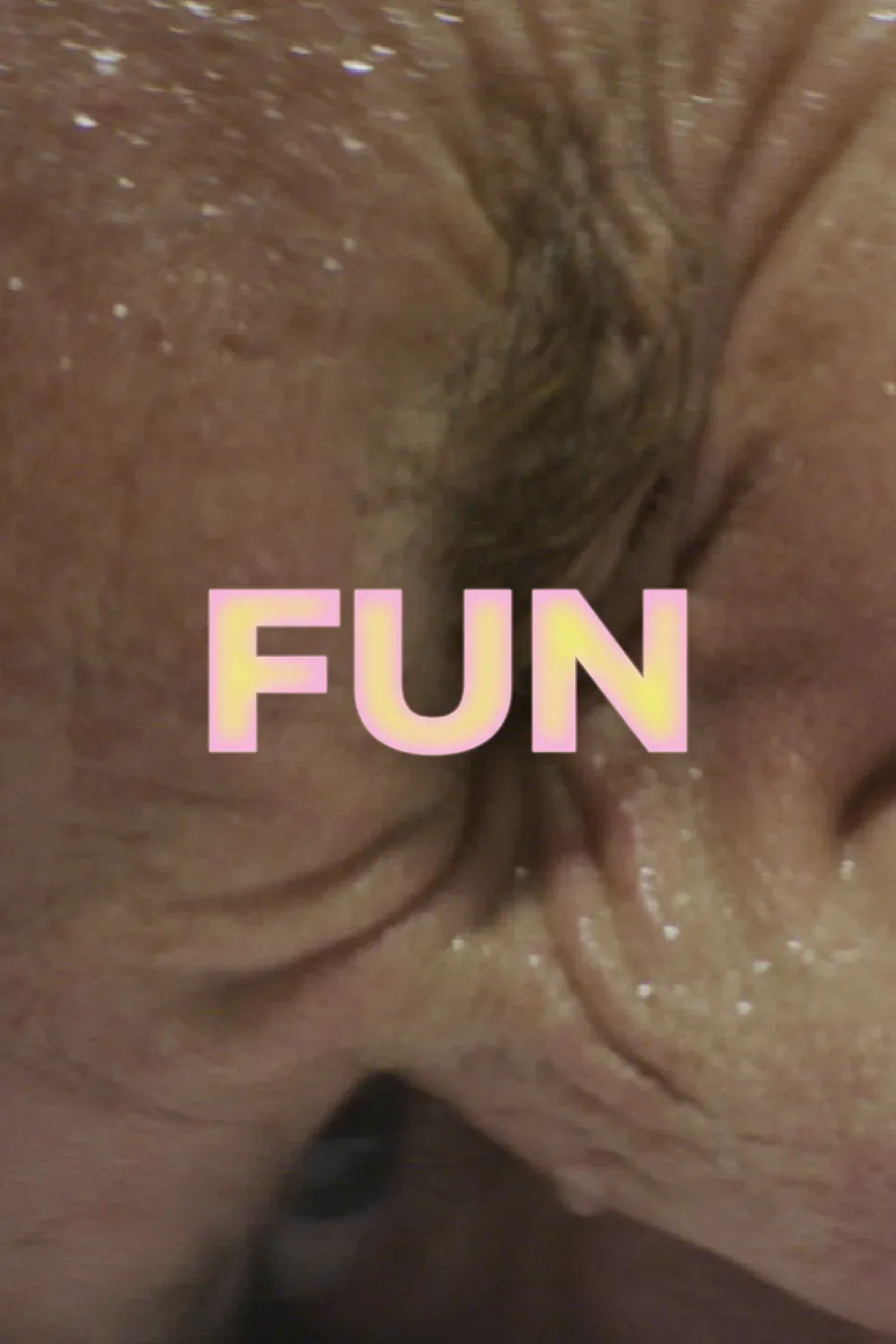 Poster for FUN