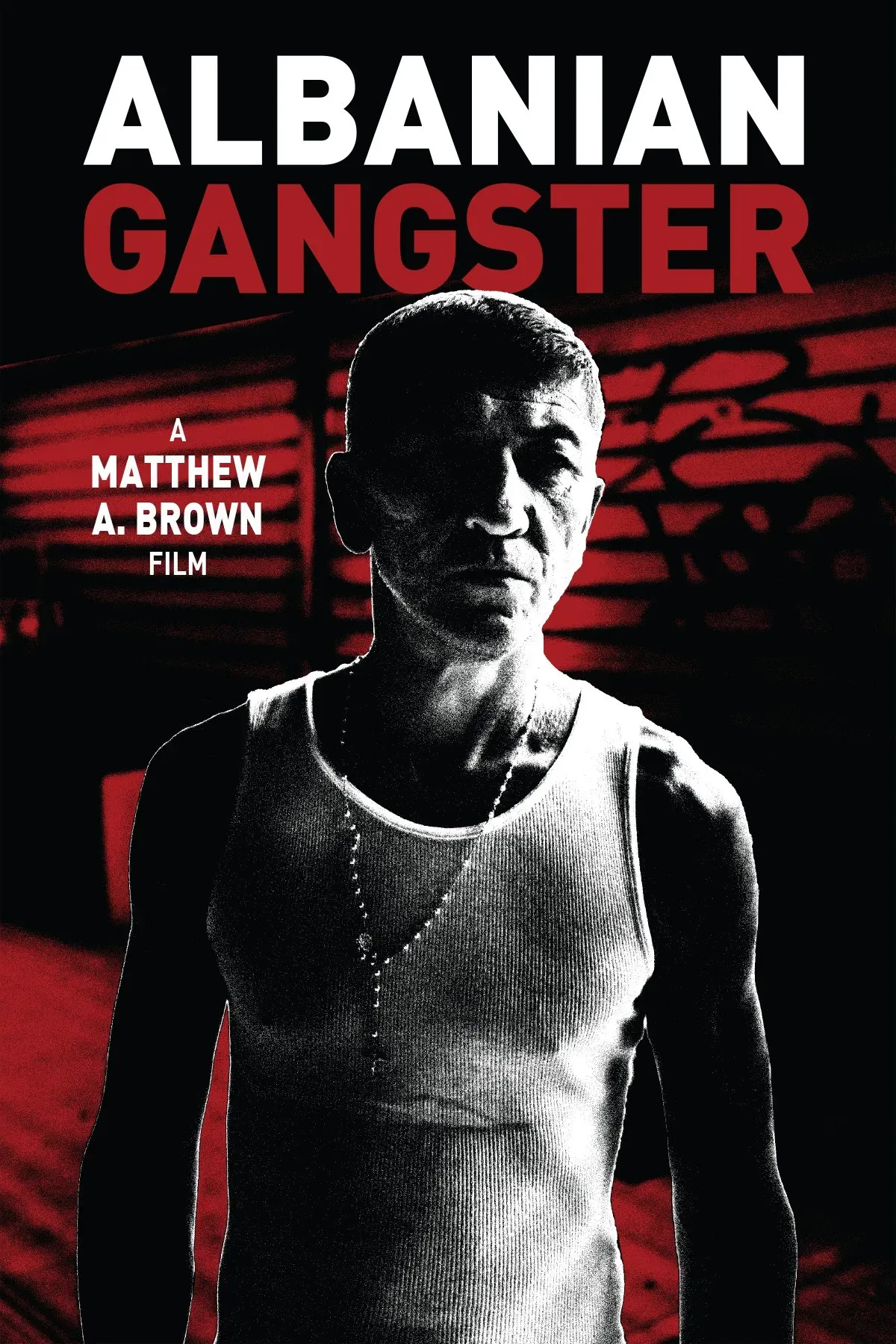 Poster of the movie Albanian Gangster