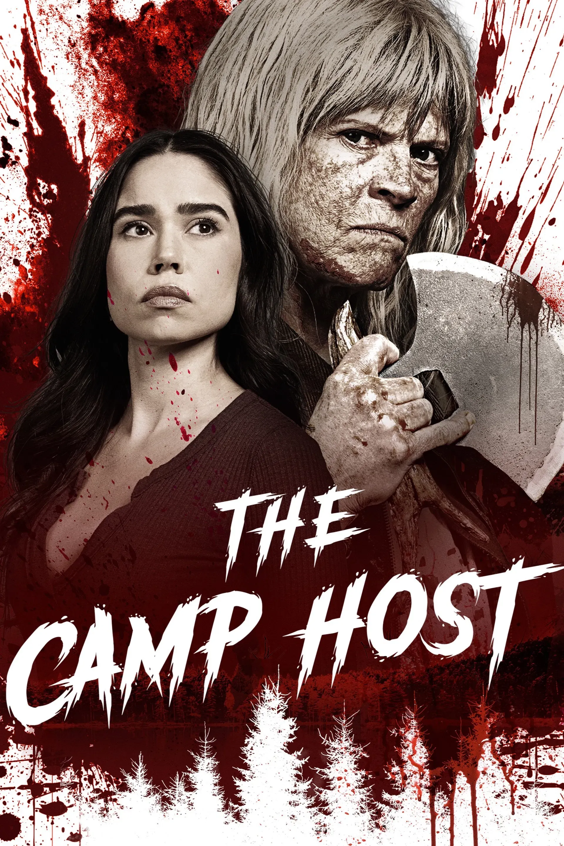 Poster of the movie The Camp Host