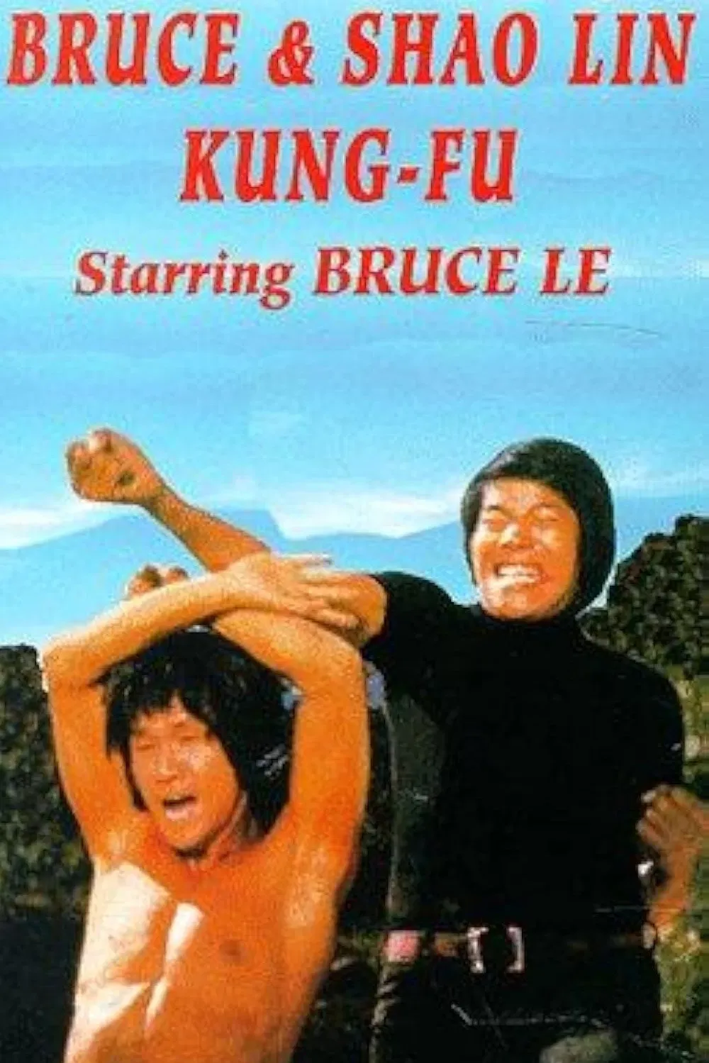 Poster of the movie Bruce and Shaolin Kung Fu