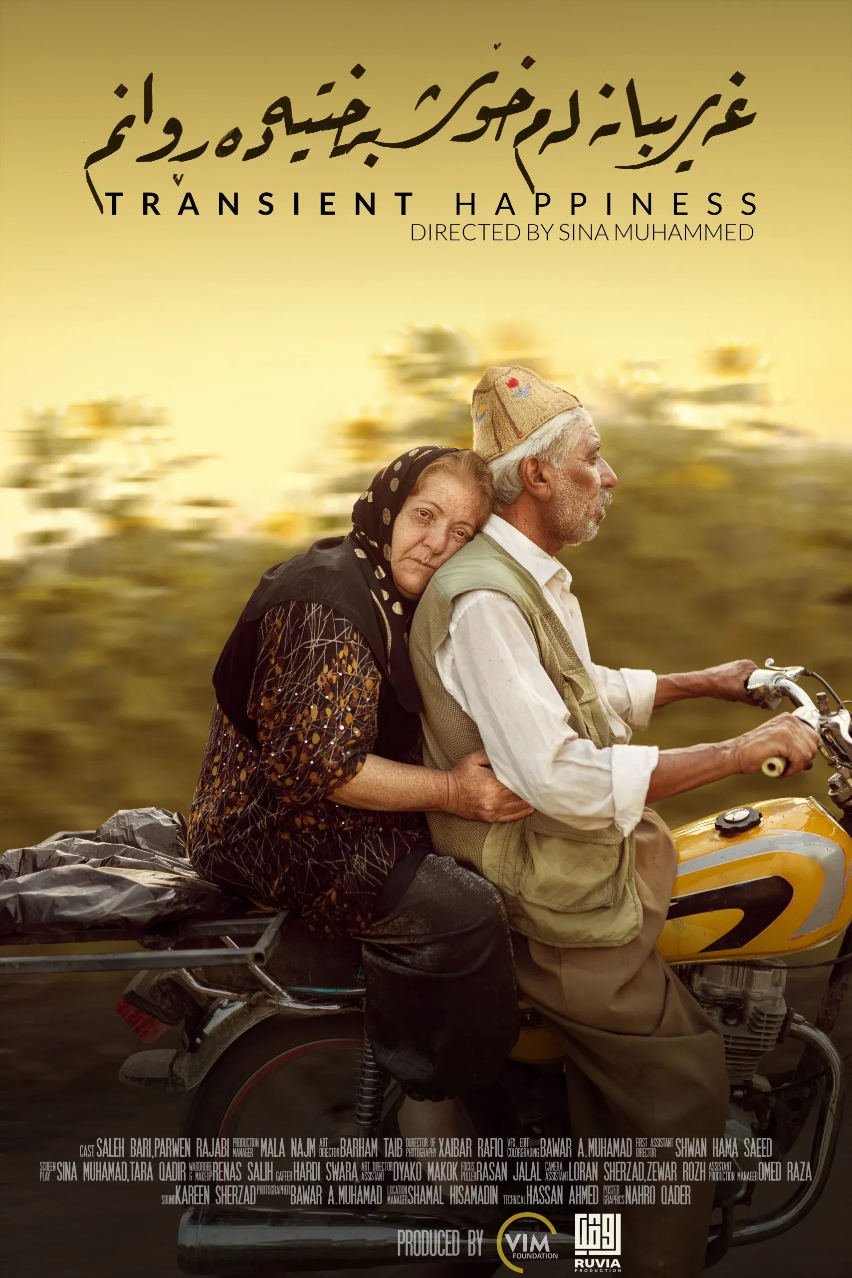 Poster of the movie Transient Happiness