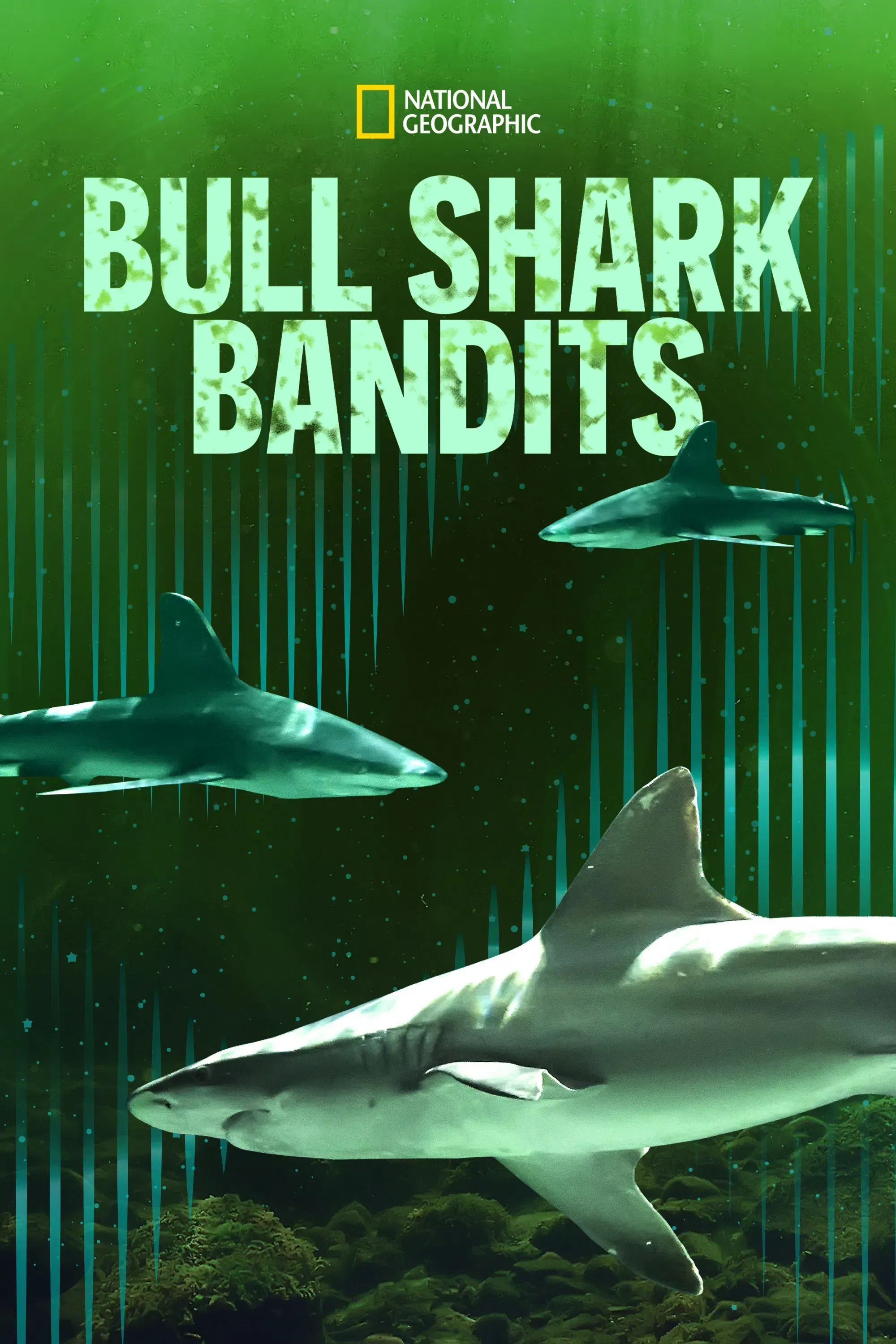 Poster of the movie Bull Shark Bandits