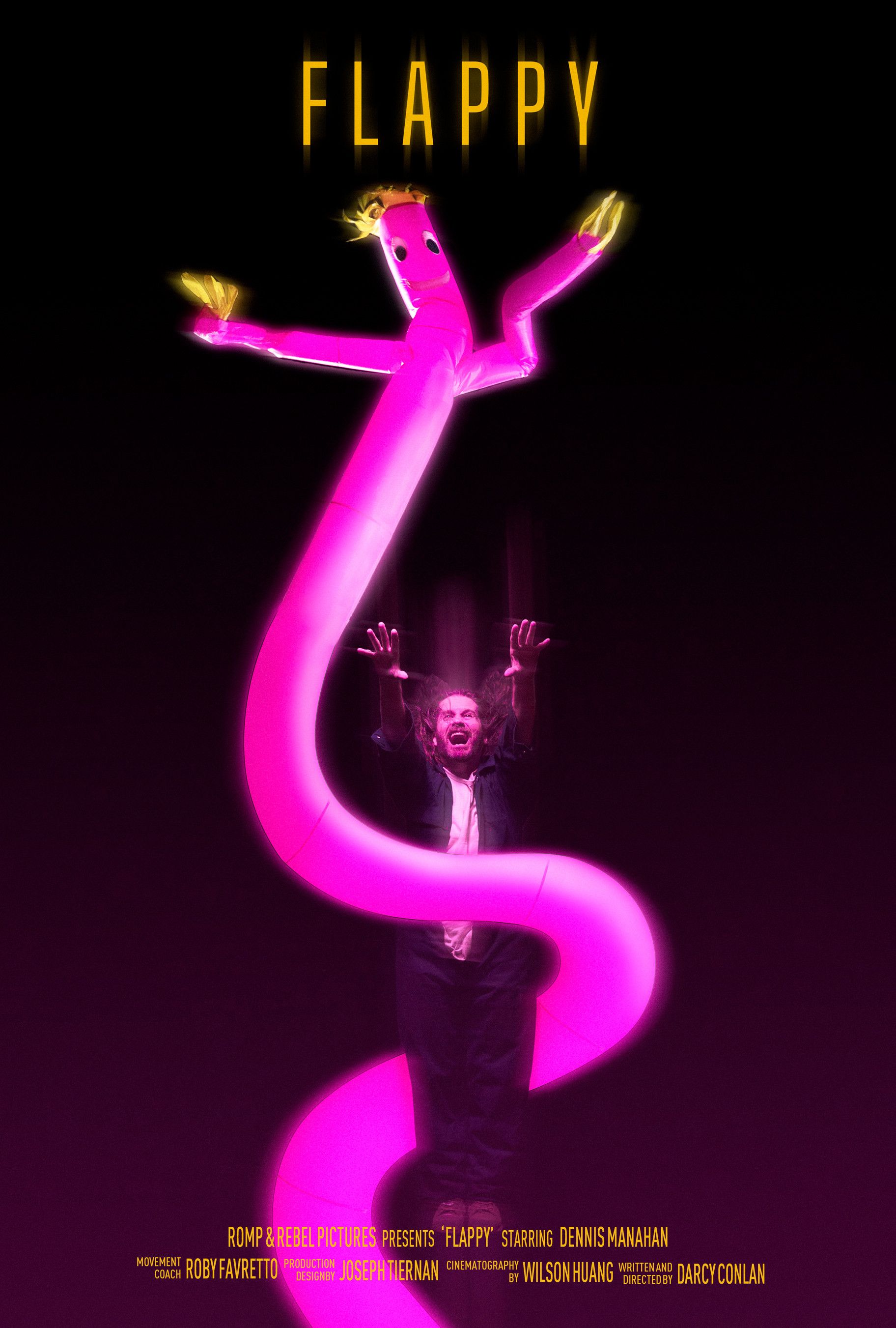 Poster of the movie Flappy