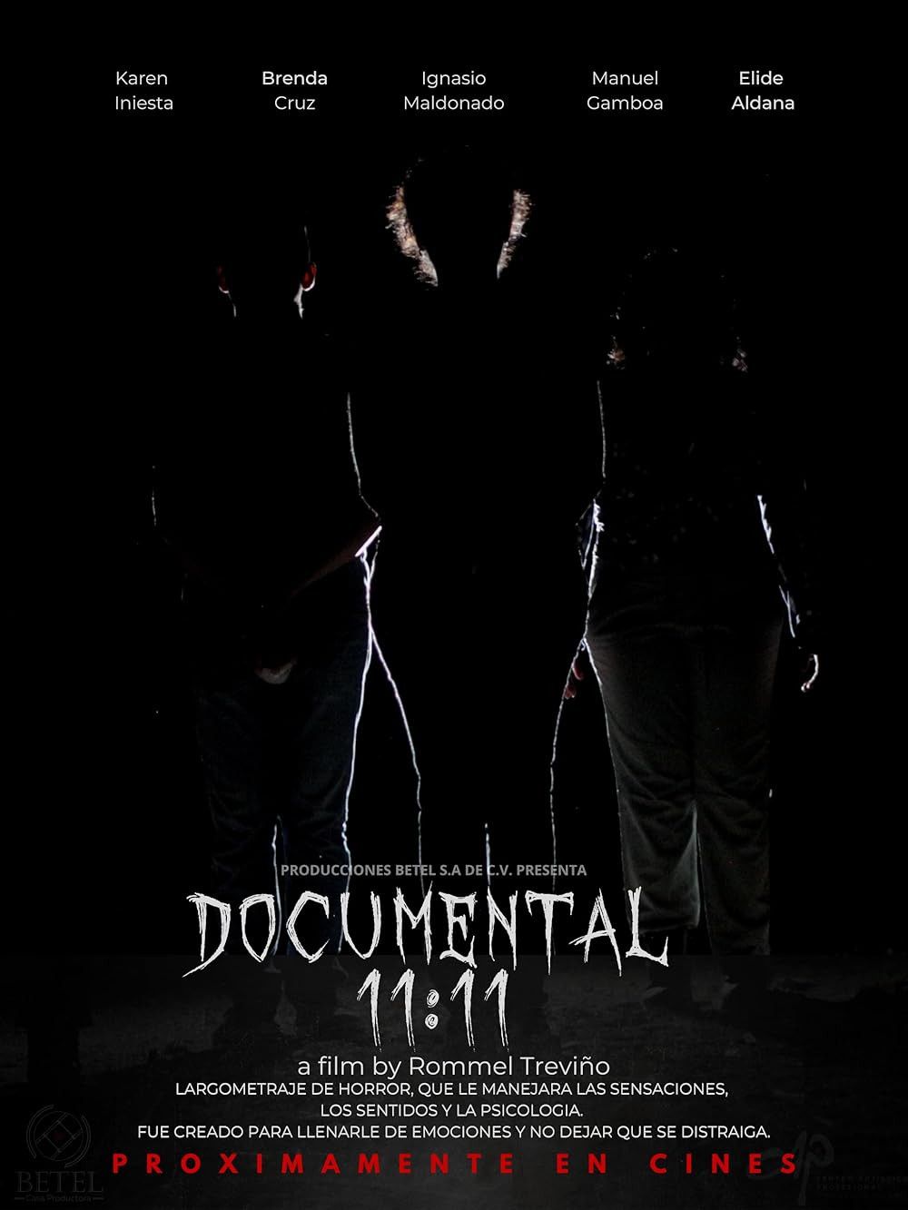Poster of the movie Documentary 11:11