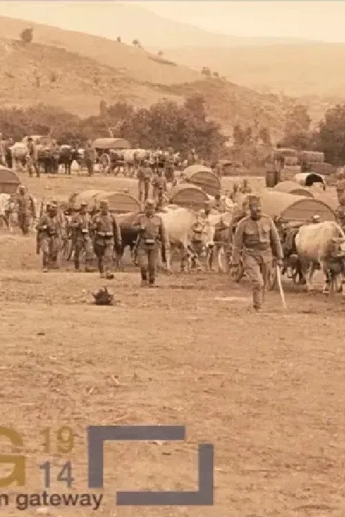 Poster of the movie Ammunition Column of the Danube Division