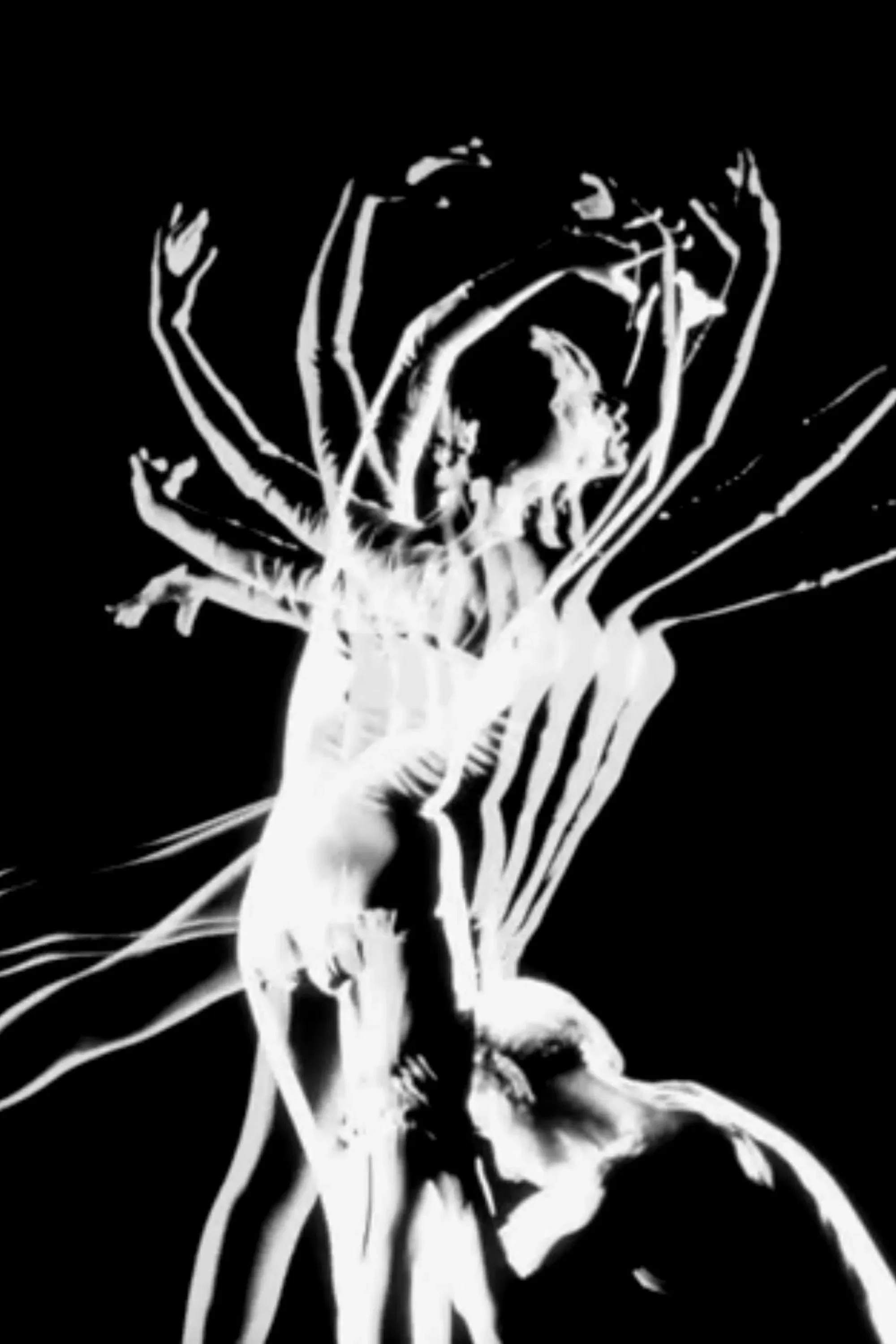 Poster of the movie Pas de Deux