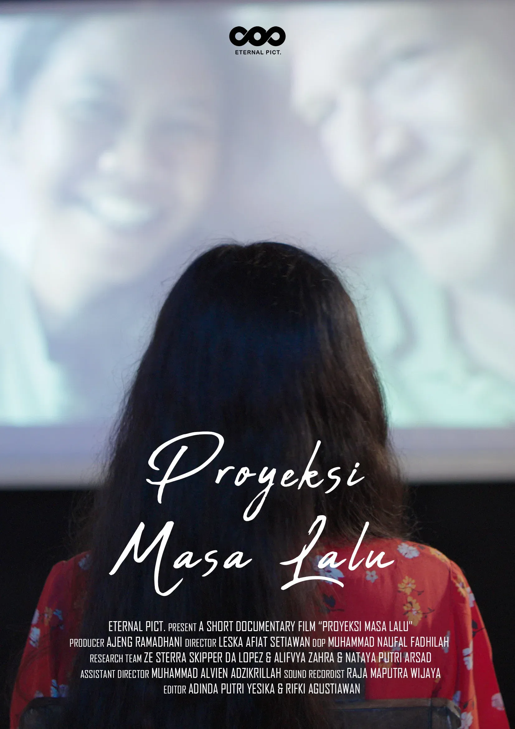 Poster for Past Projection