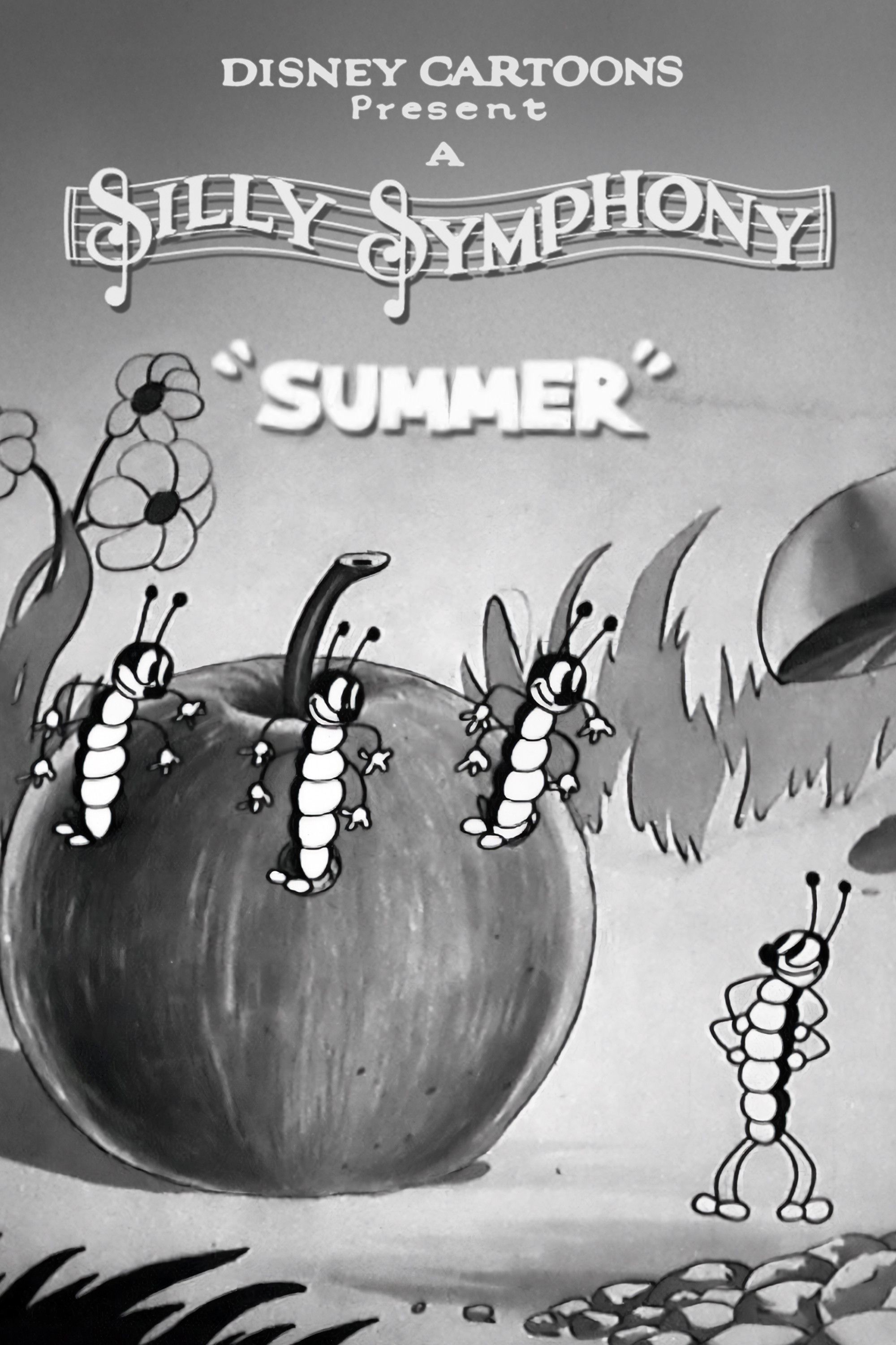 Poster of the movie Summer