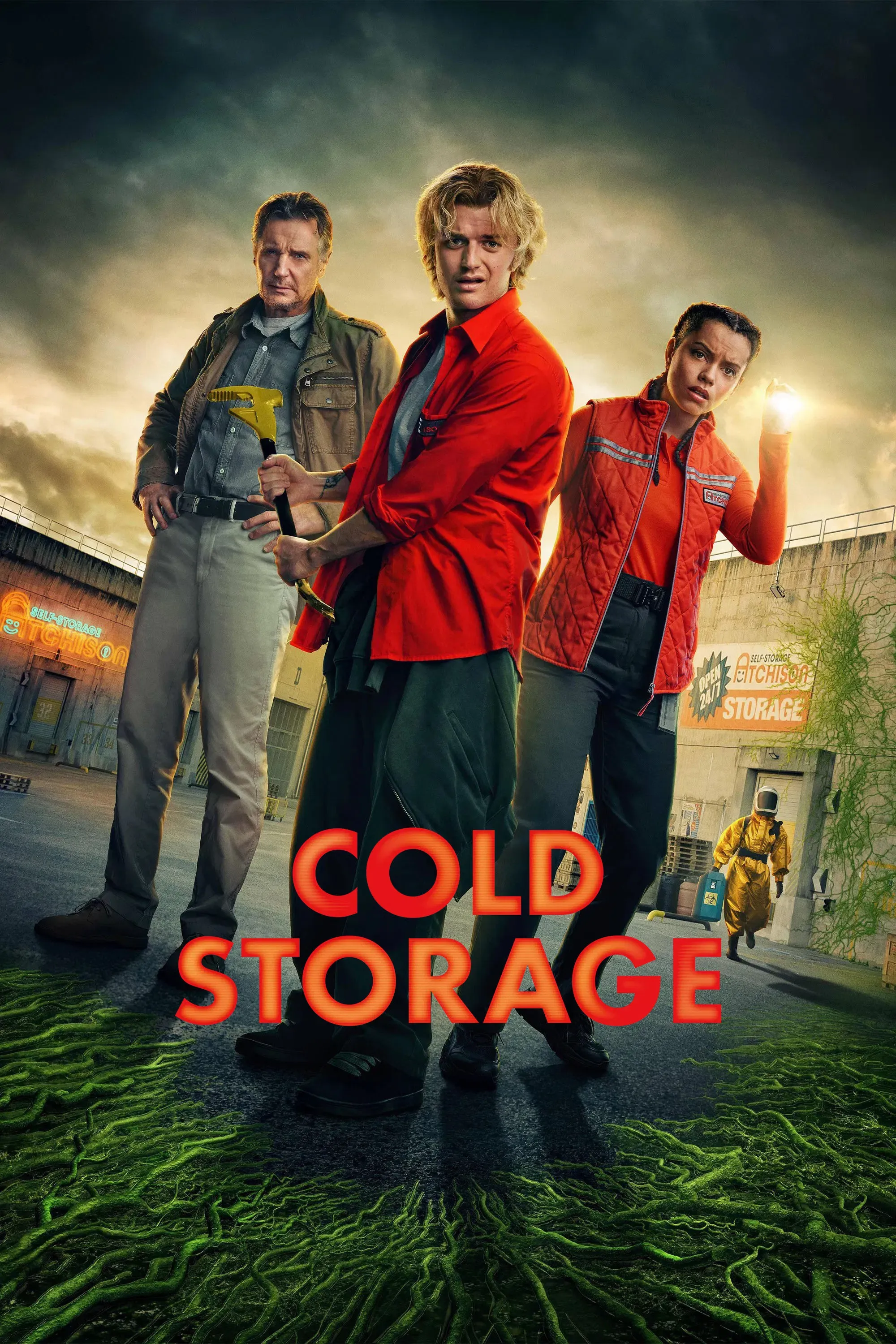 Poster of the movie Cold Storage