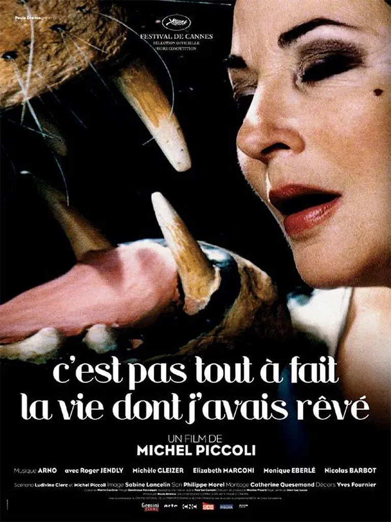Poster of the movie C'est pas tout à fait la vie dont j'avais rêvé