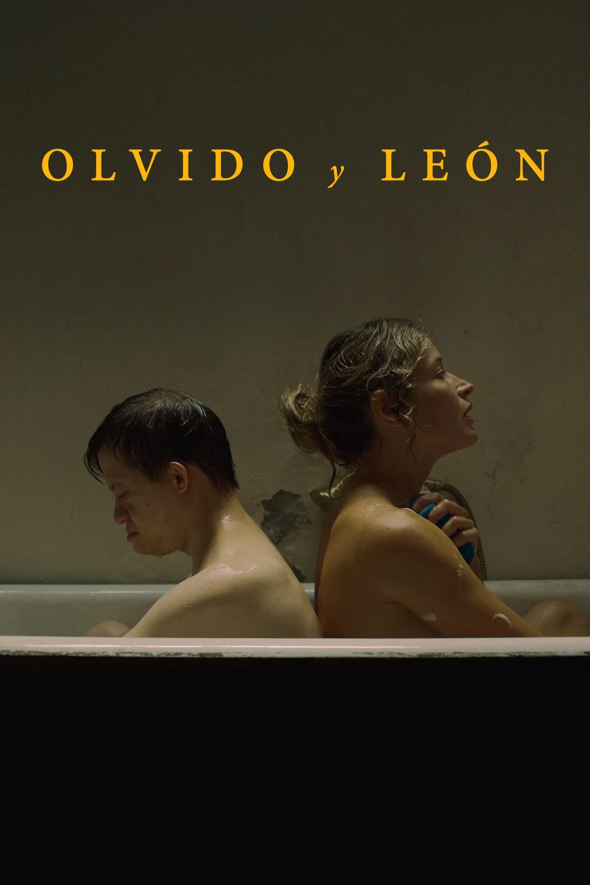 Poster of the movie Olvido y León