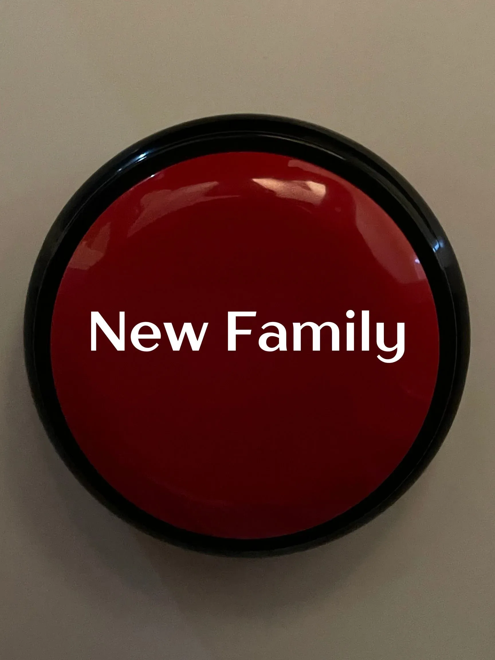 Poster for New Family