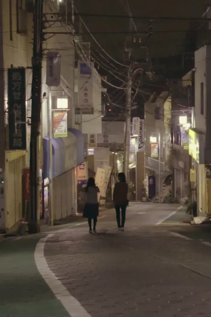 Poster of the movie Overnight Walk