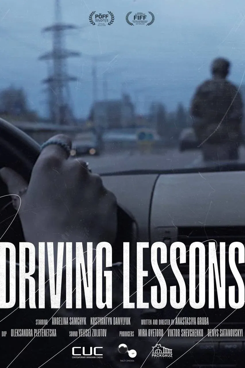 Poster for Driving Lessons