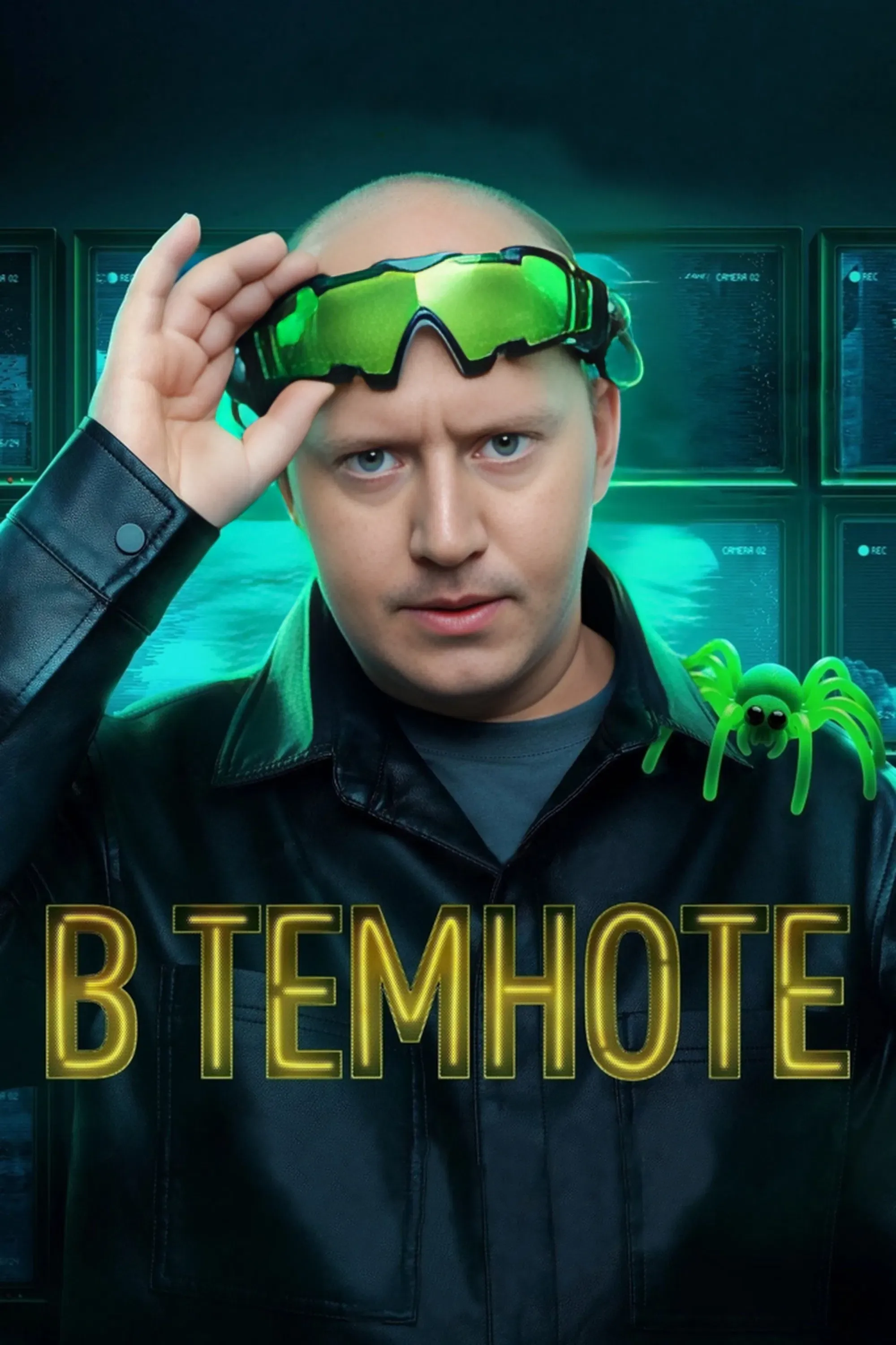 Poster of В темноте