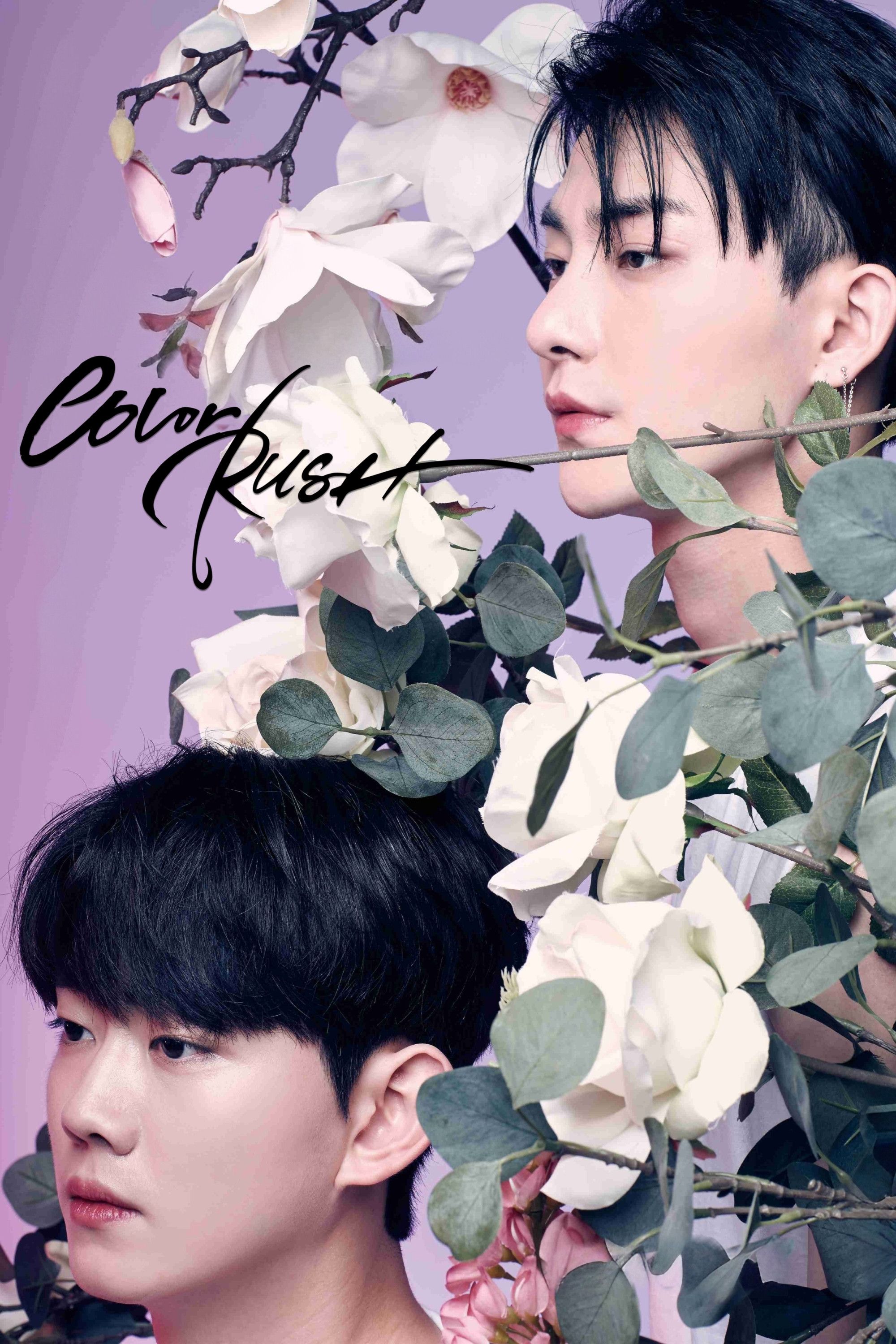 Poster of the movie Color Rush