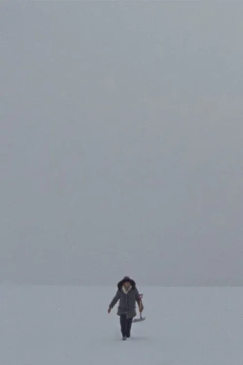 Poster for Lake
