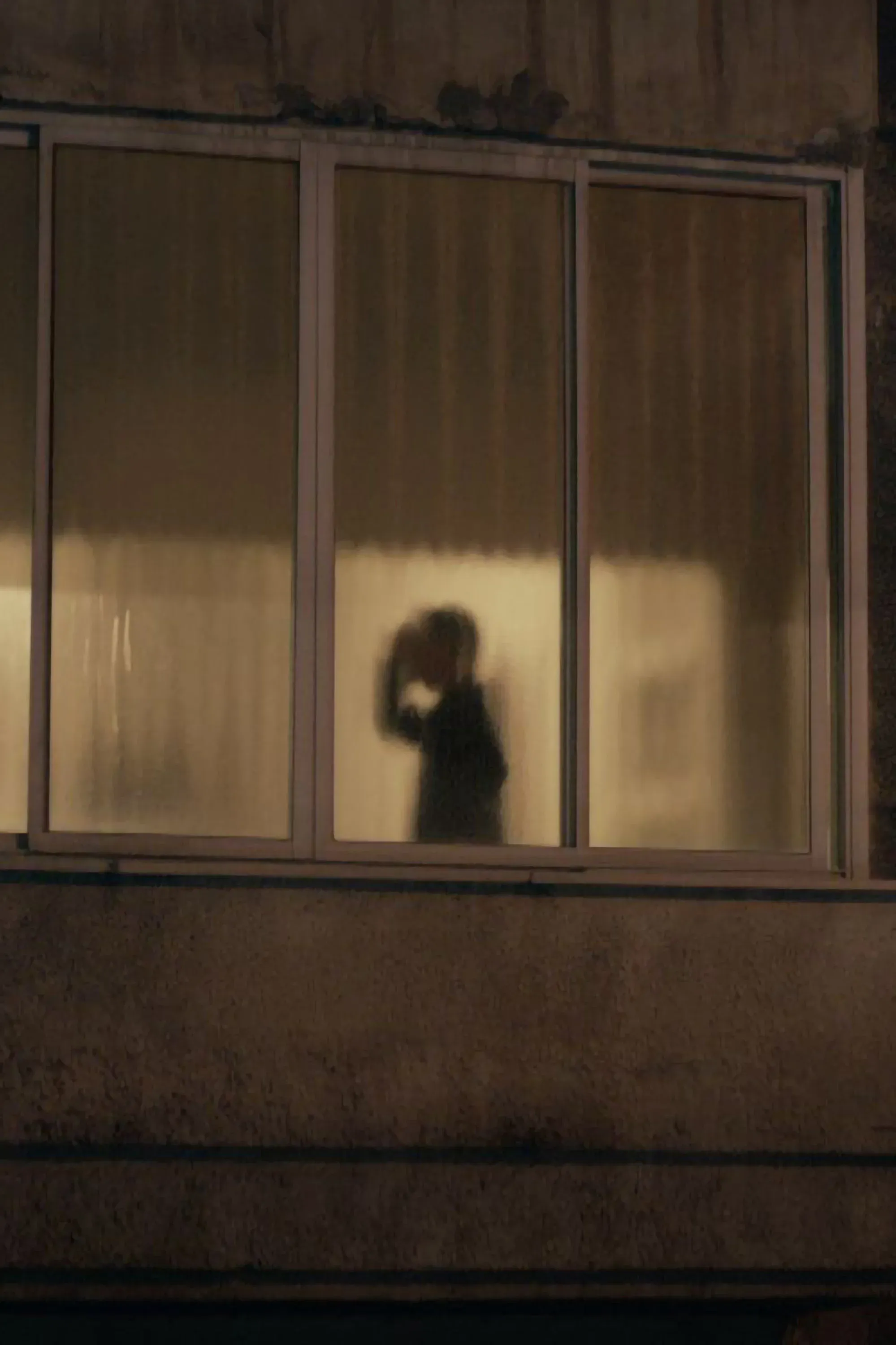 Poster for Shadow Puppets