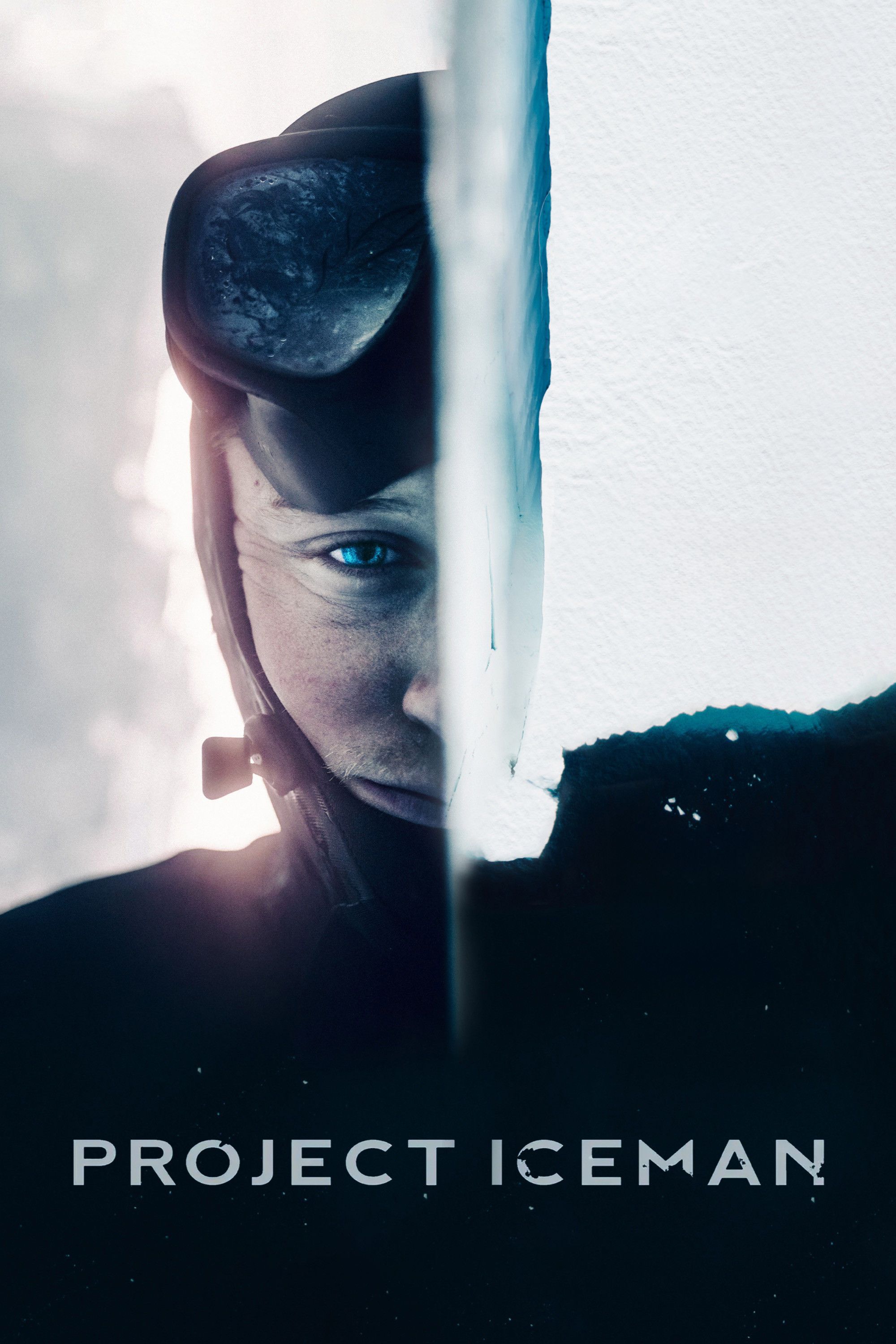 Poster of the movie Project Iceman