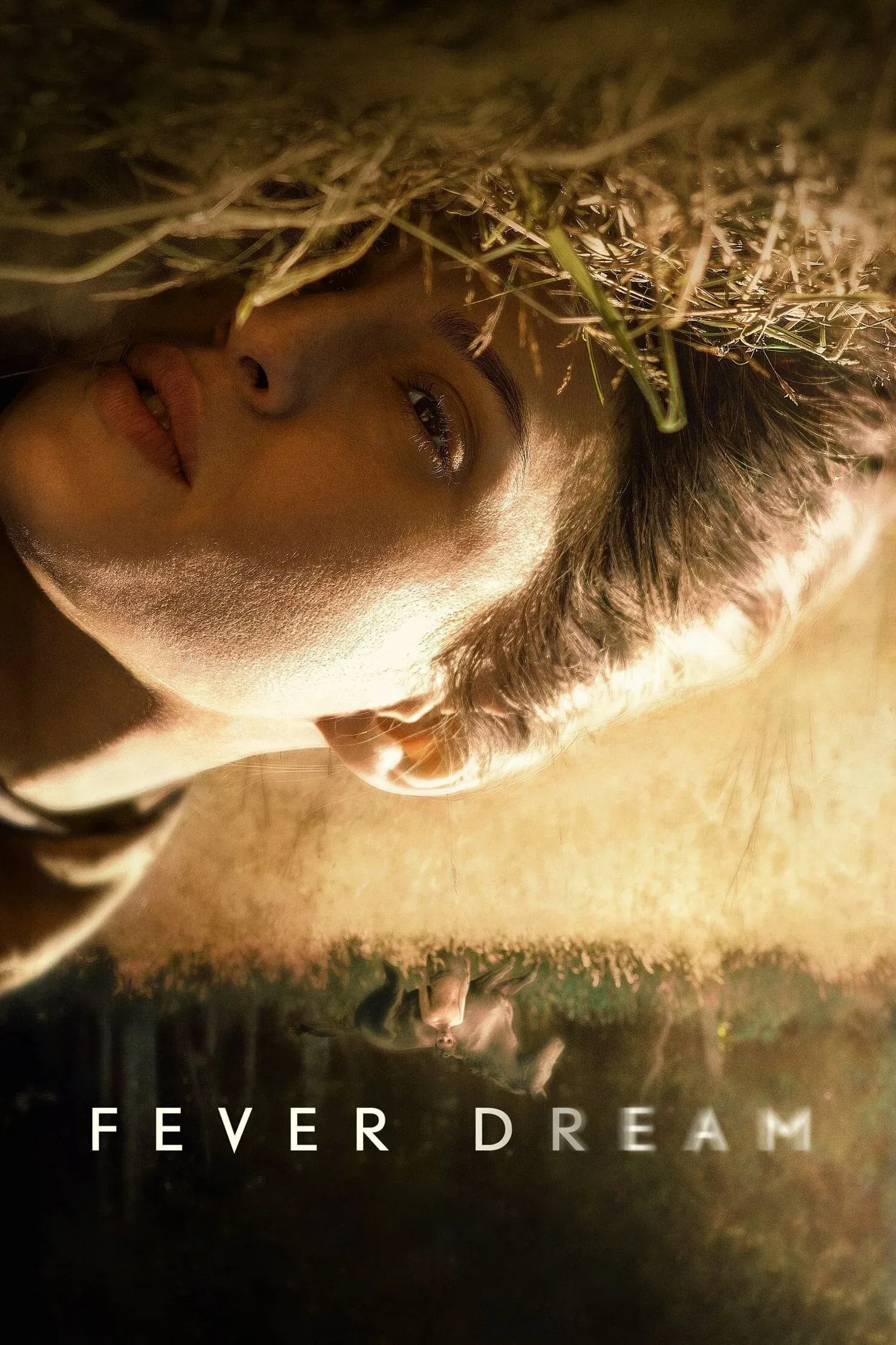 Poster of the movie Fever Dream