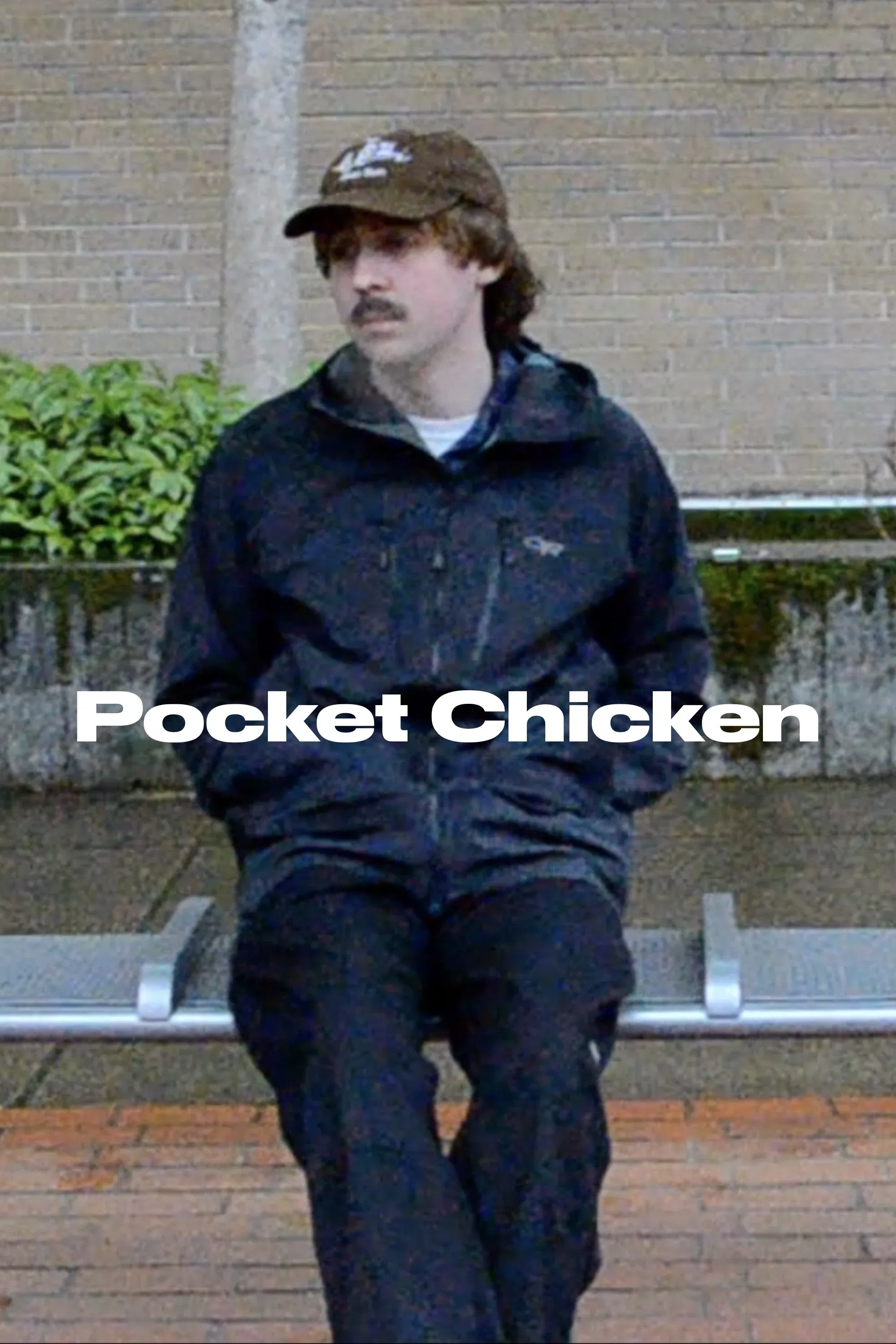 Poster for Pocket Chicken