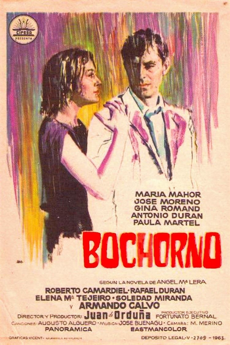 Poster of the movie Bochorno