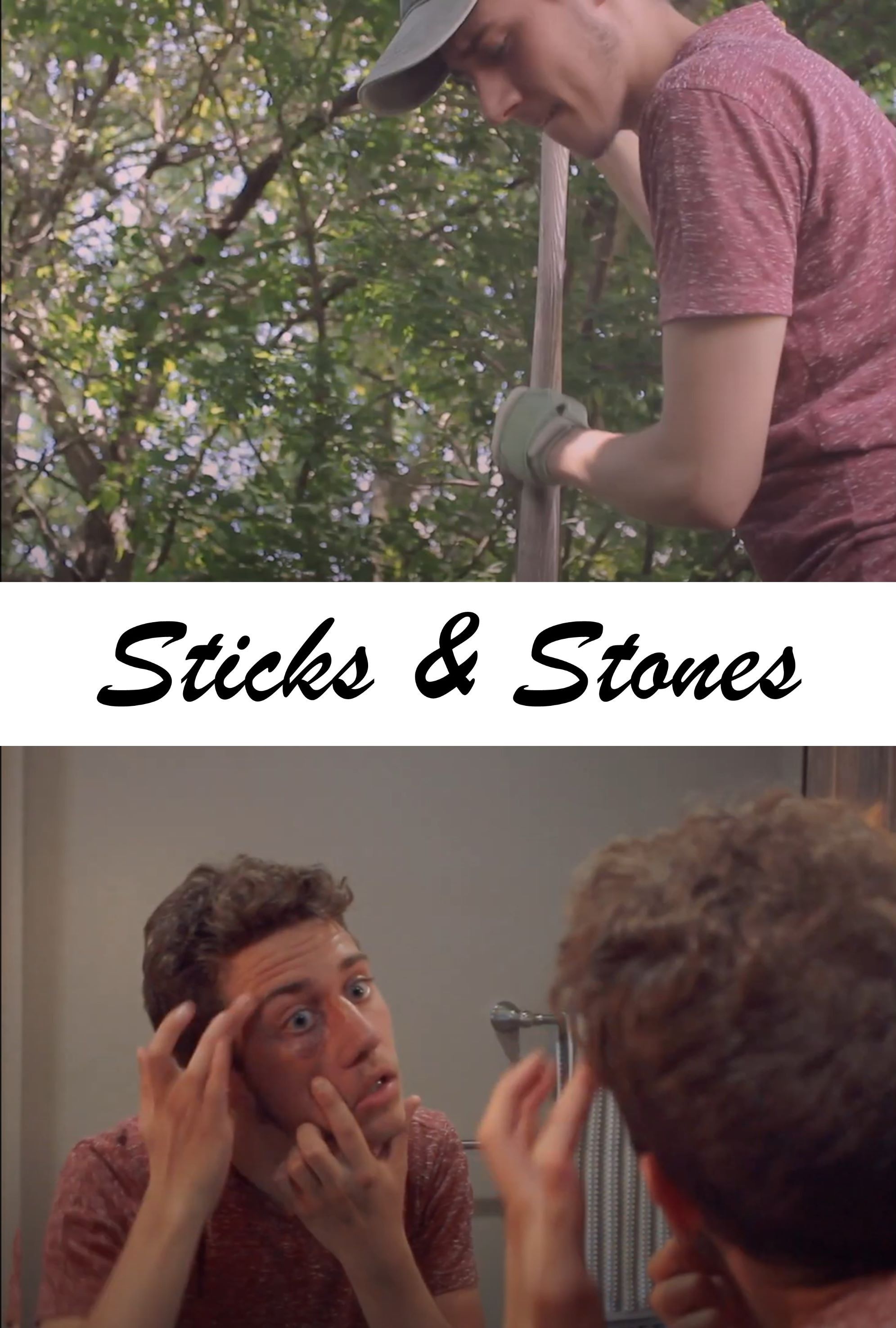 Poster of the movie Sticks & Stones