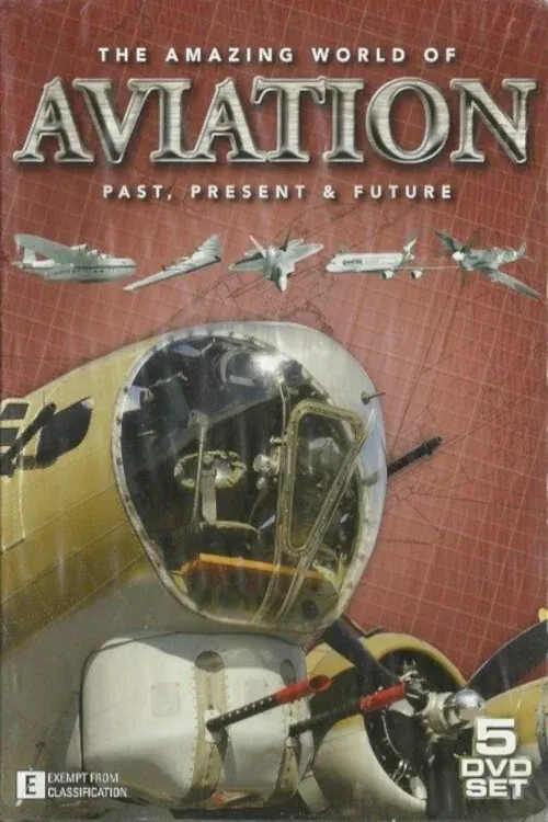 Poster of The Amazing World of Aviation