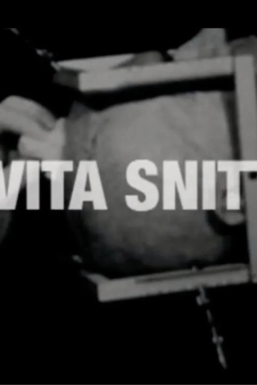 Poster of the movie Det vita snittet