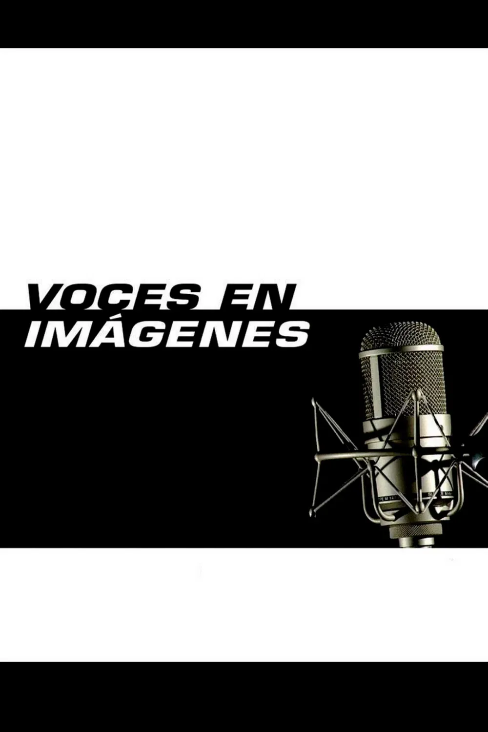 Poster of the movie Voces en imágenes