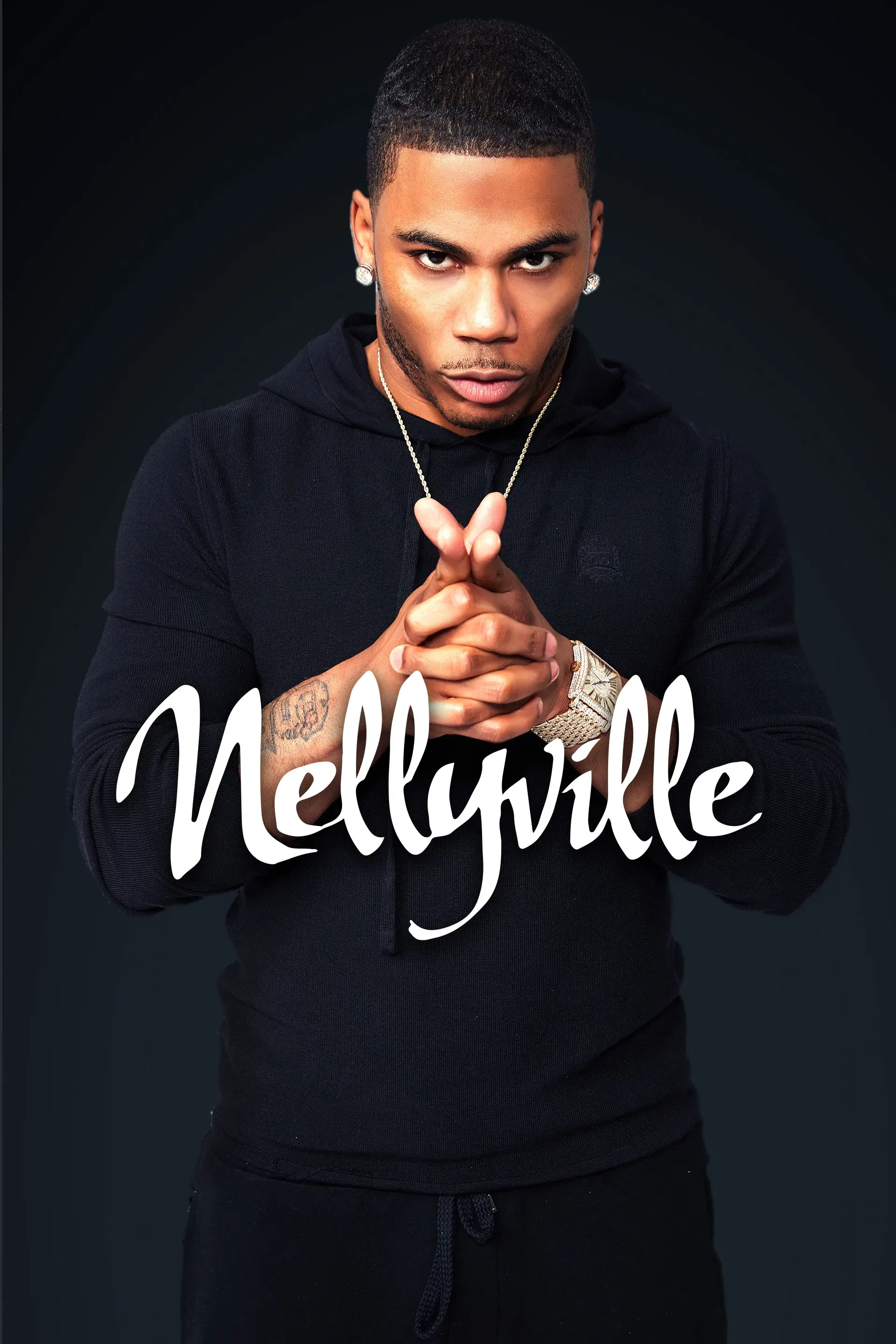 Poster of Nellyville