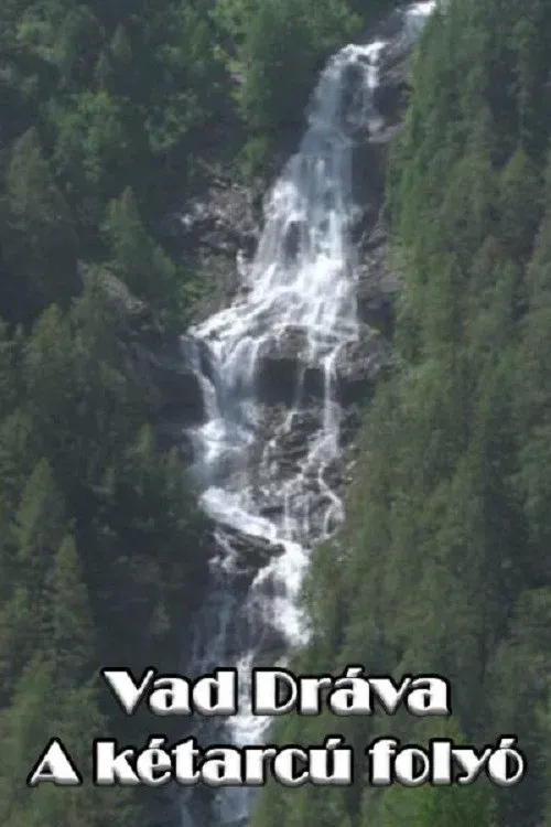 Poster for Vad Dráva - A kétarcú folyó