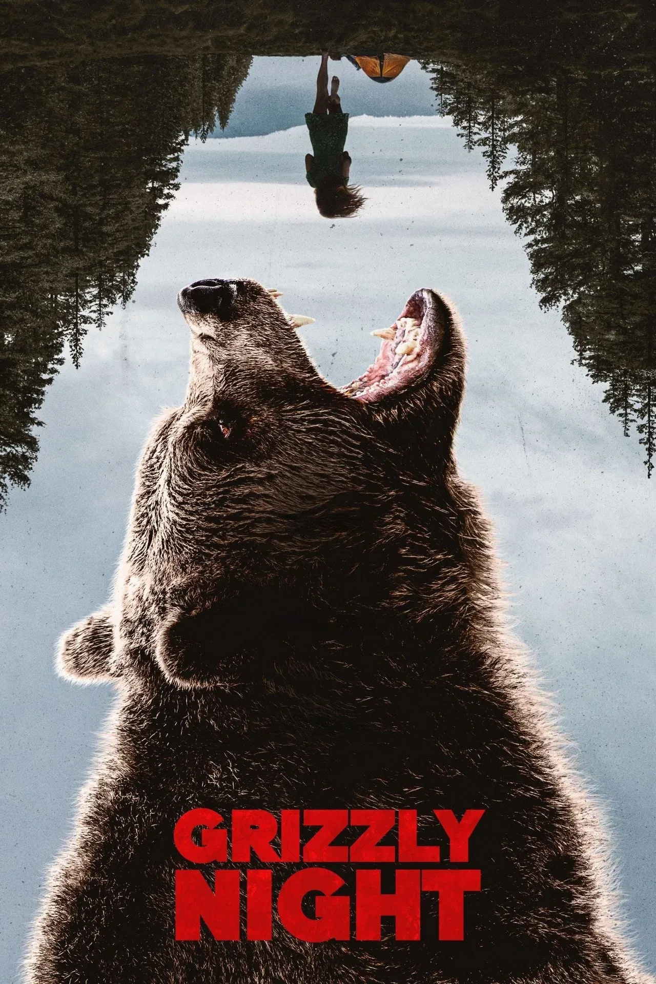 Poster of the movie Grizzly Night