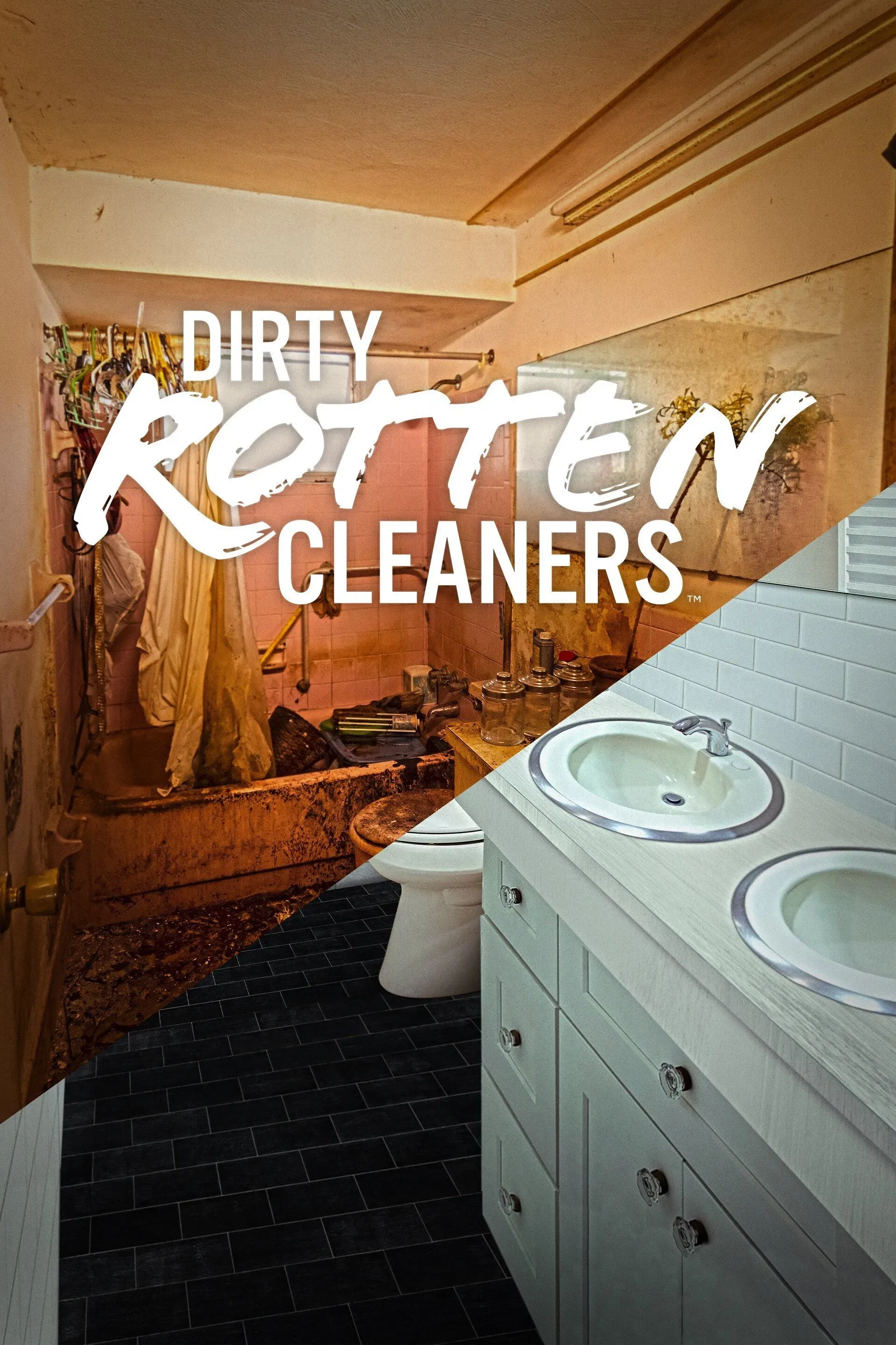 Poster of Dirty Rotten Cleaners