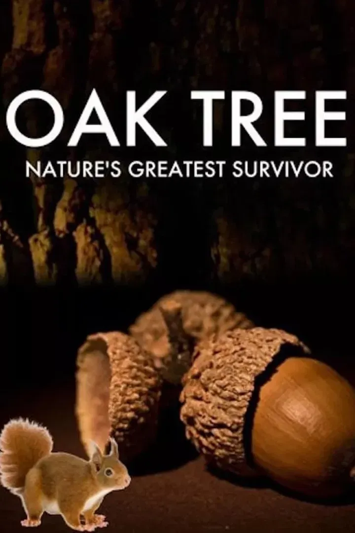 Poster of the movie Oak Tree: Nature's Greatest Survivor