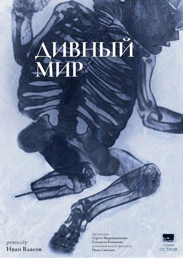 Poster for Brave World