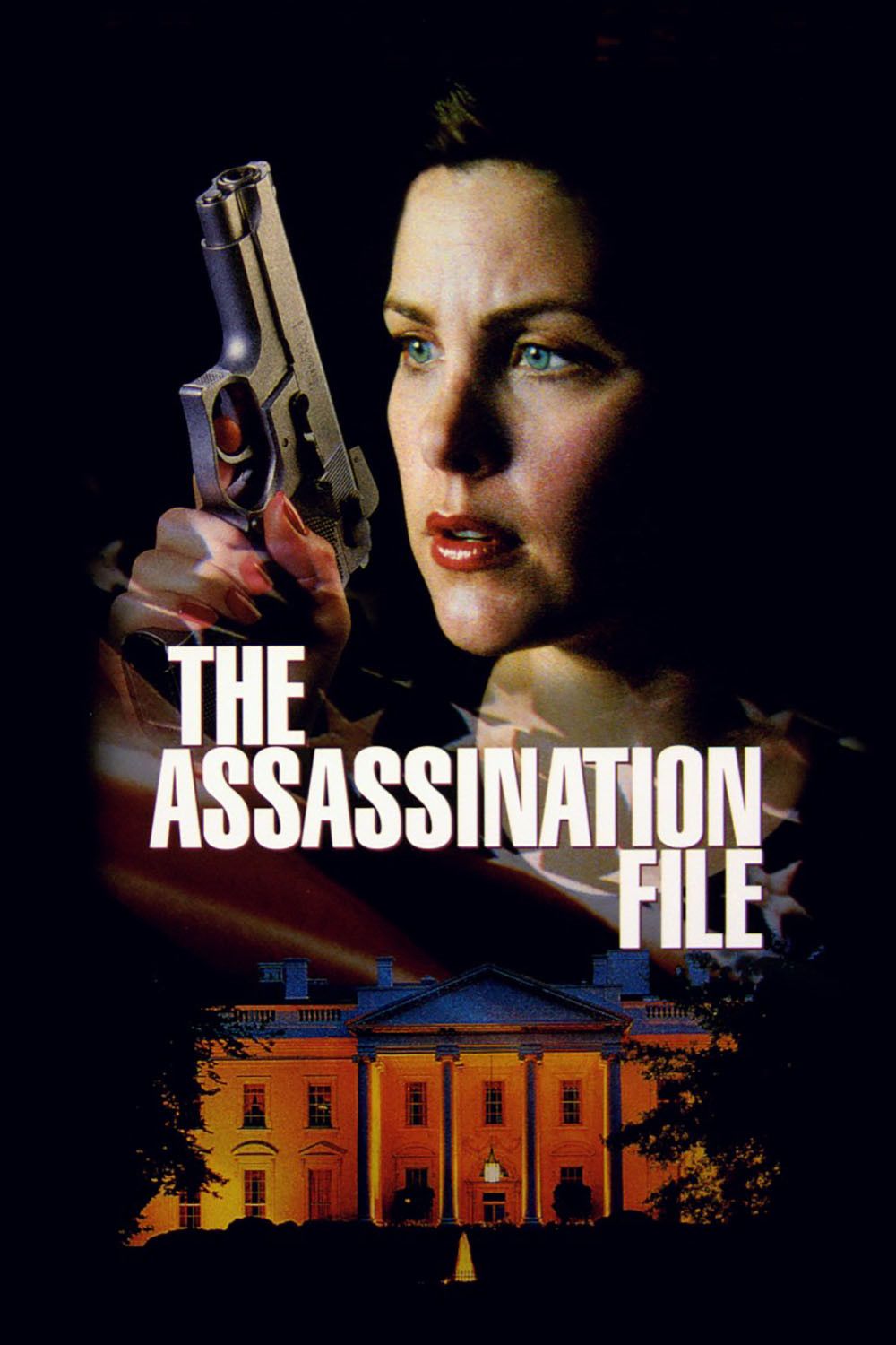 Poster of the movie The Assassination File