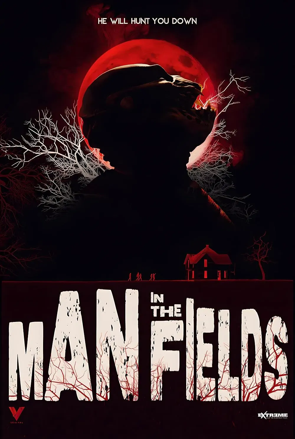 Poster of the movie Man in the Fields