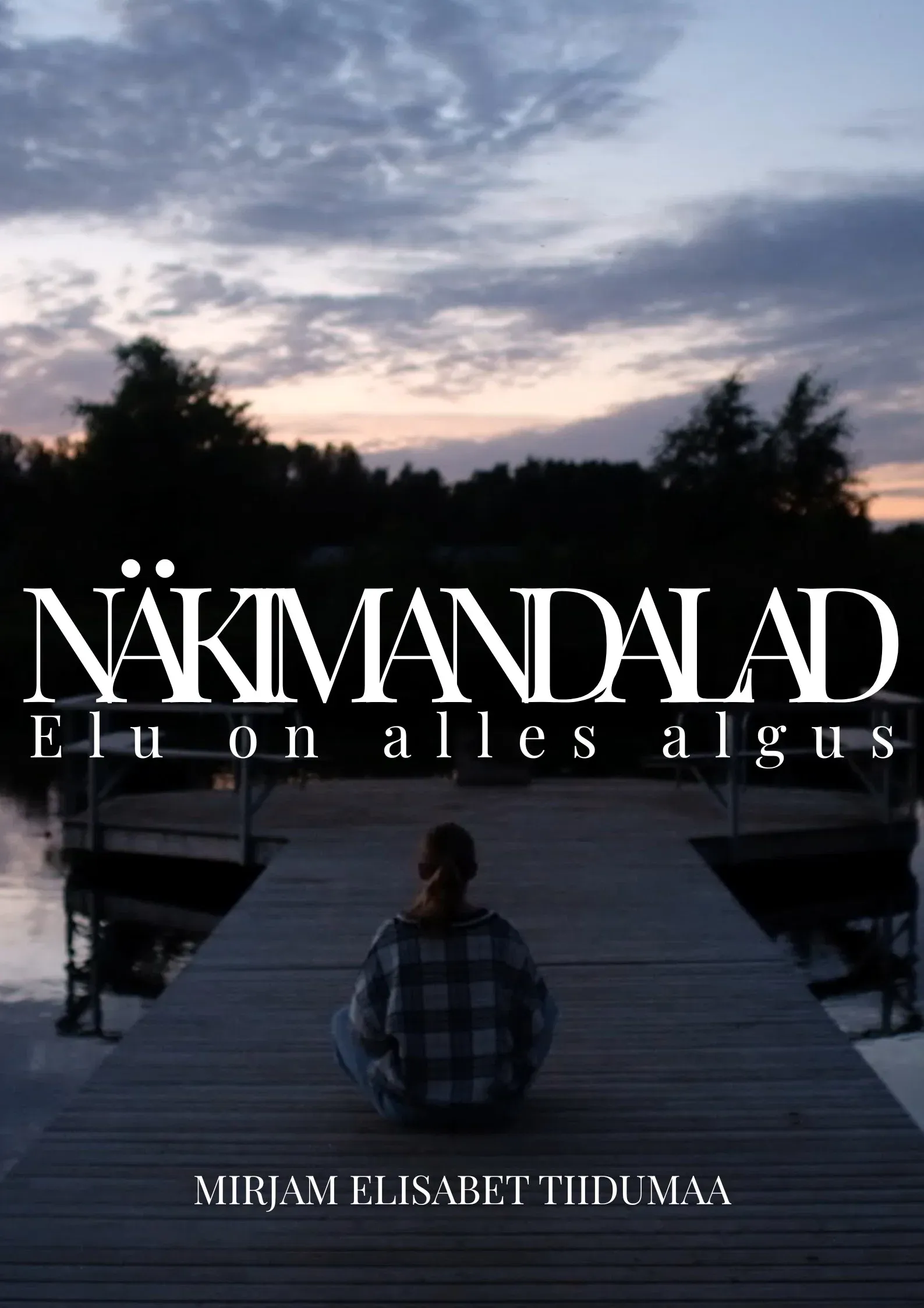 Poster for Nixieland