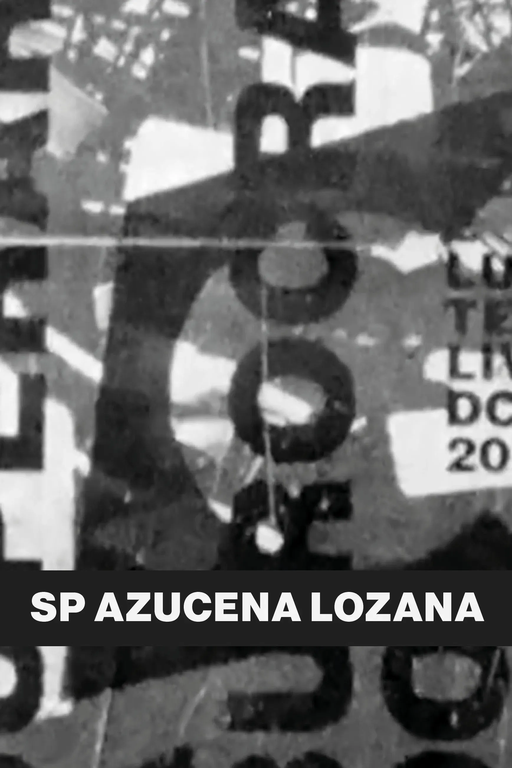 Poster of the movie SP